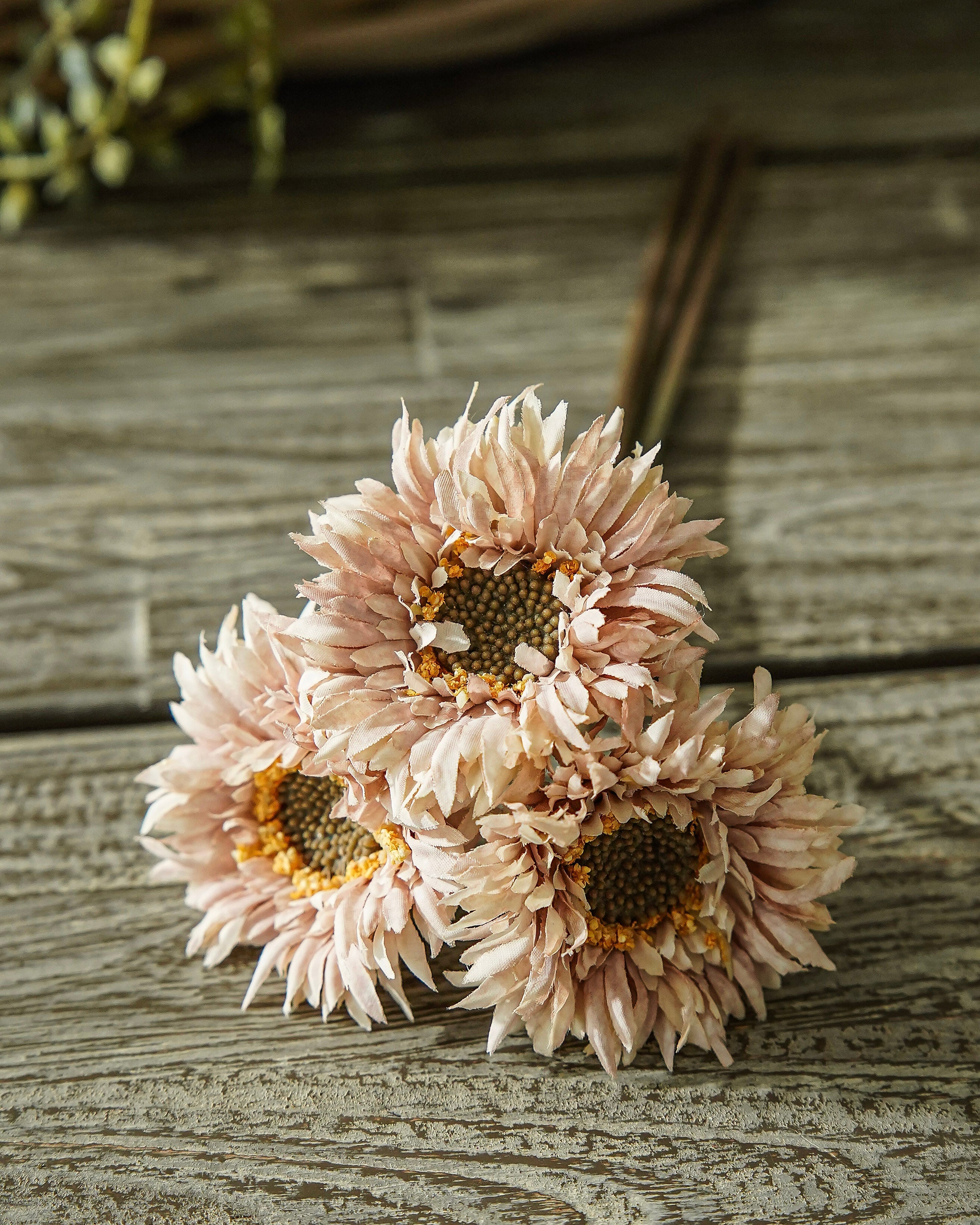 Champagne Blush Fall Daisy Bunch