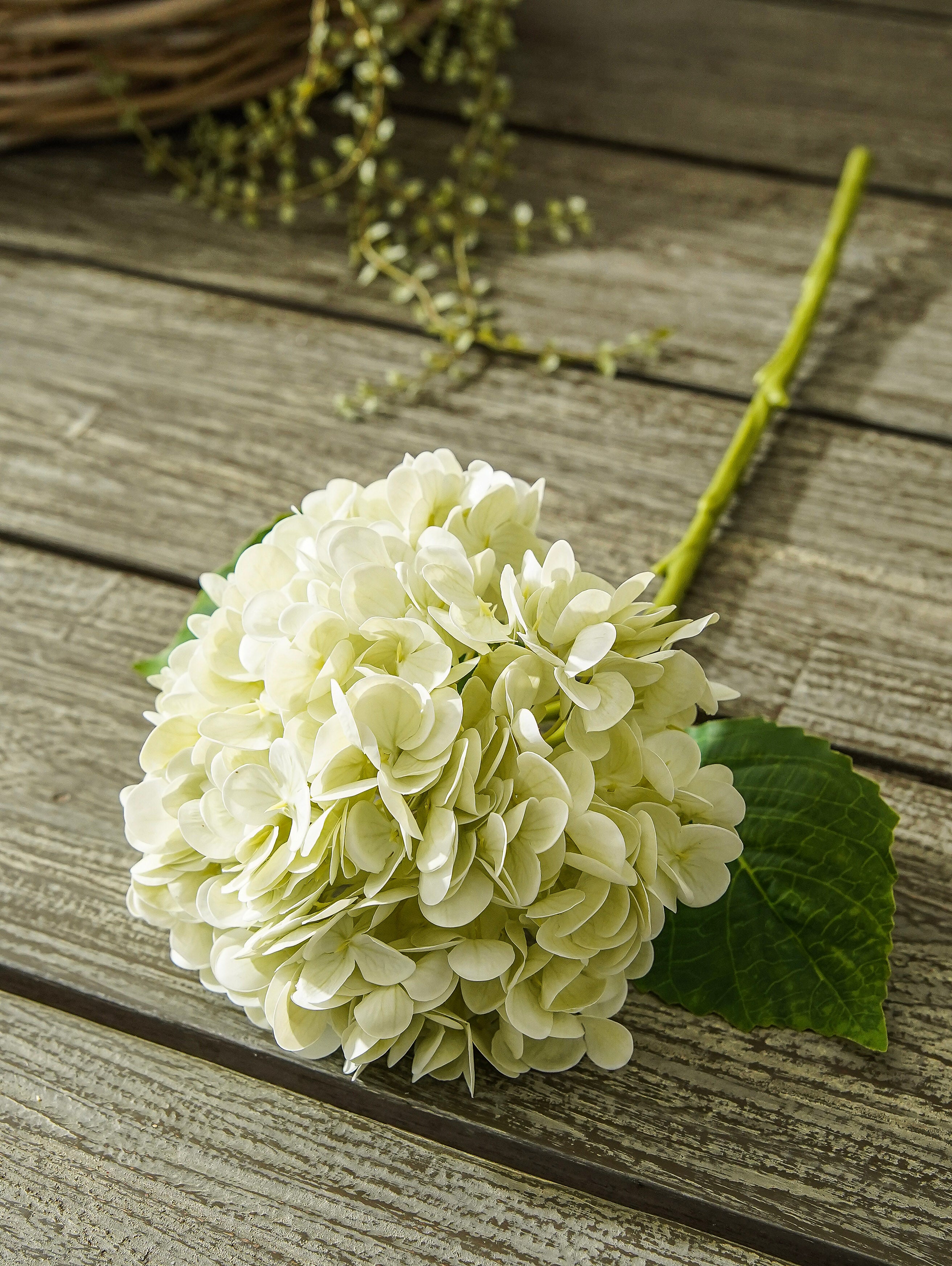 Petite Real Touch Hydrangea Stem