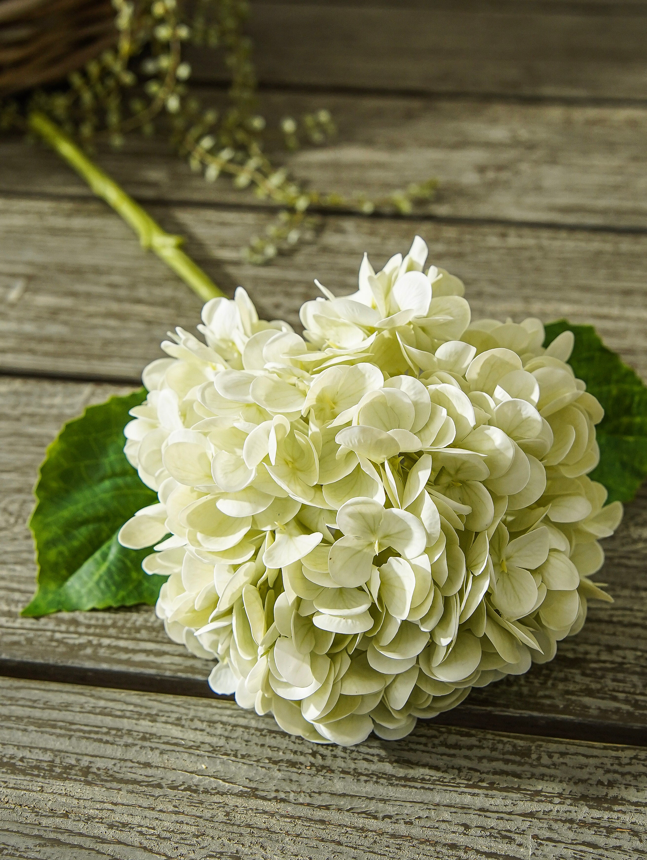 Petite Real Touch Hydrangea Stem