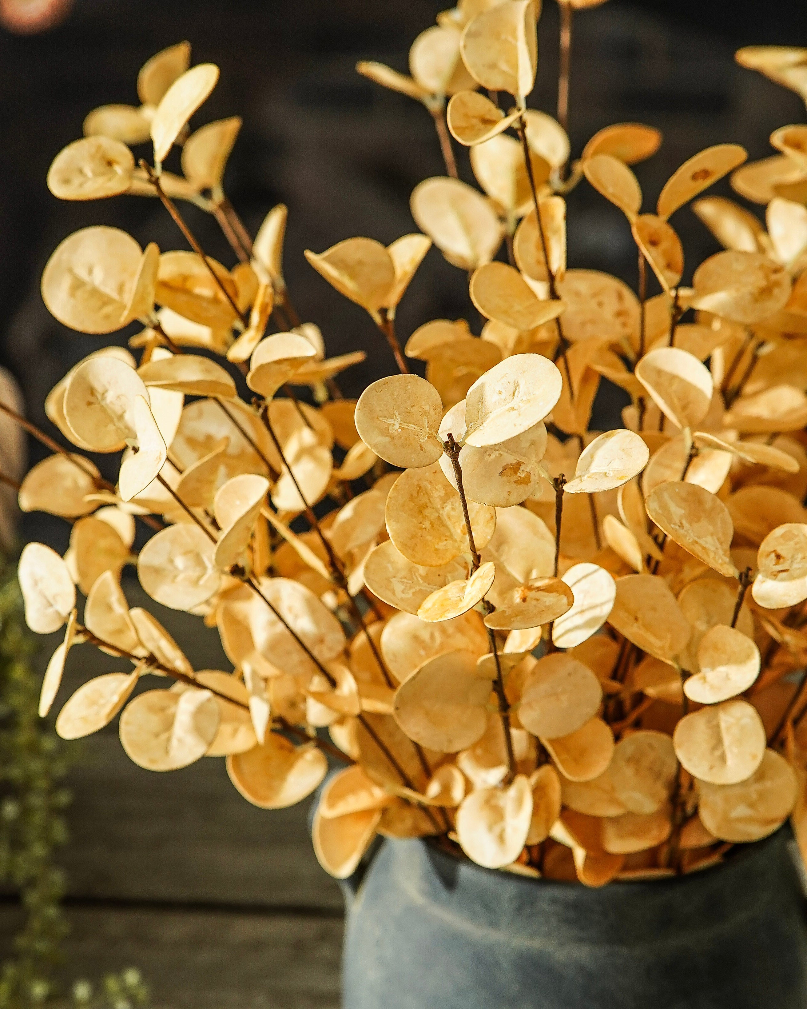 Golden Wheat Eucalyptus Stem