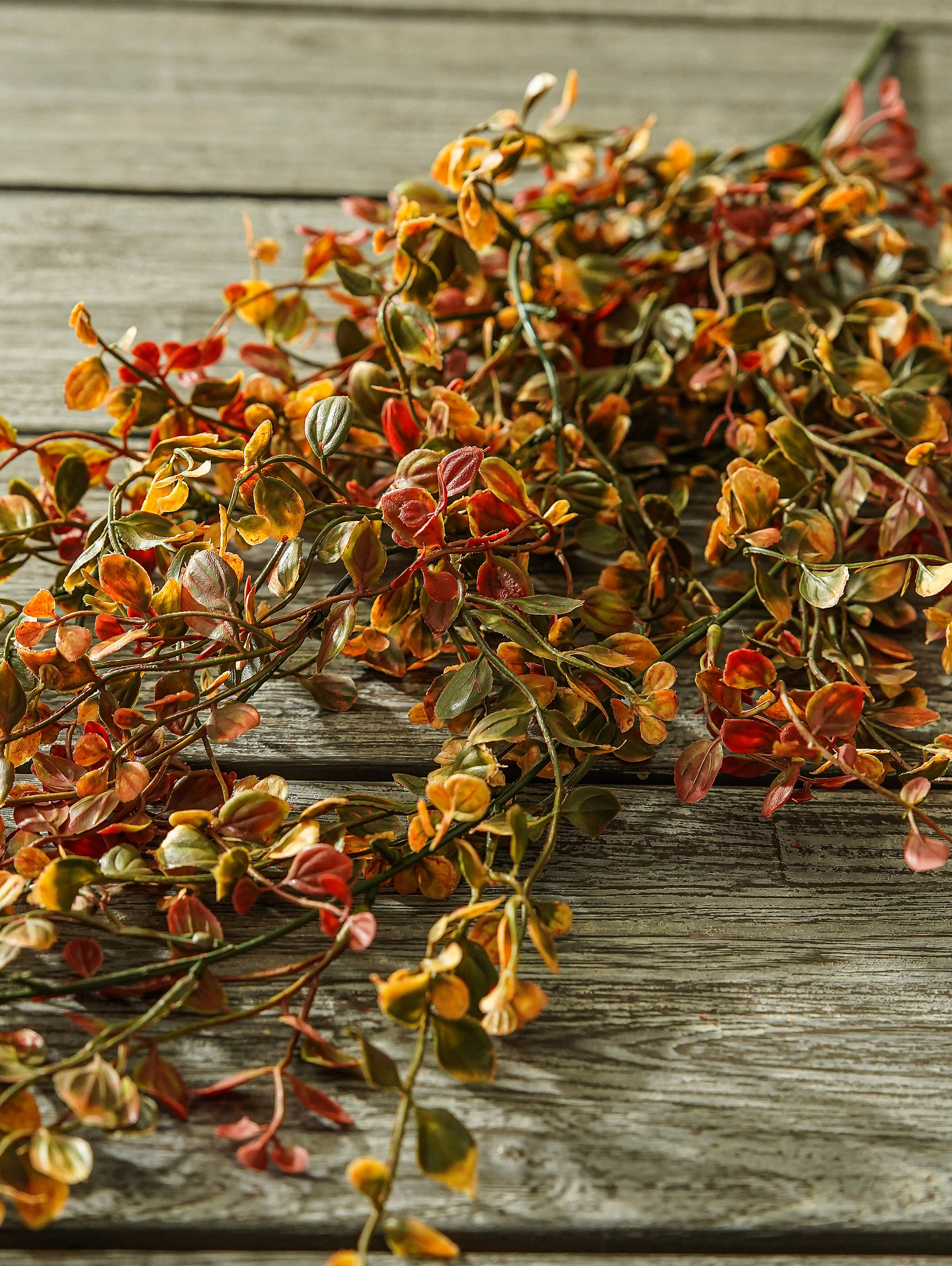 Pimpernel Hanging Stem
