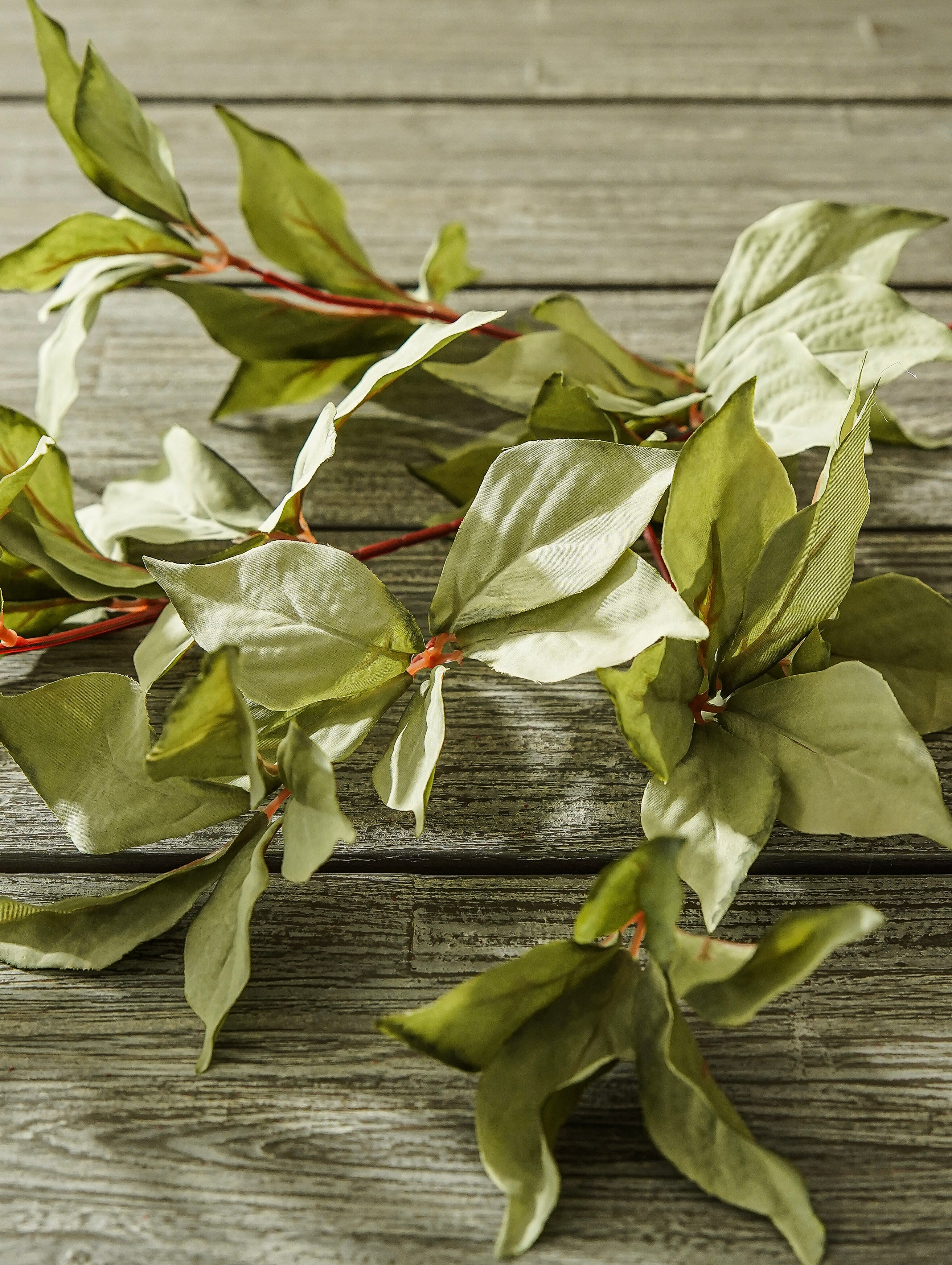 Muted Sage Leafy Stem