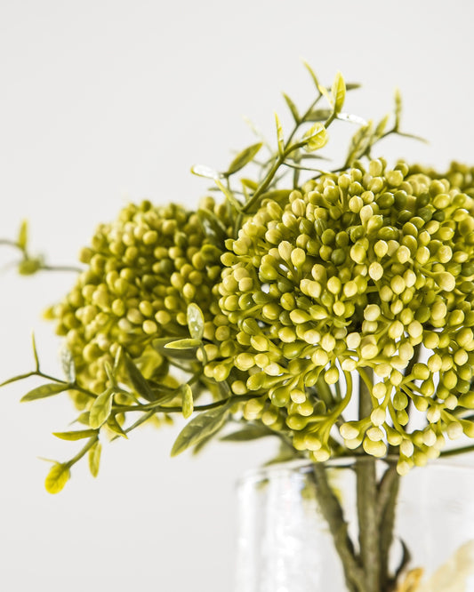Spring Green Sedum Bunch