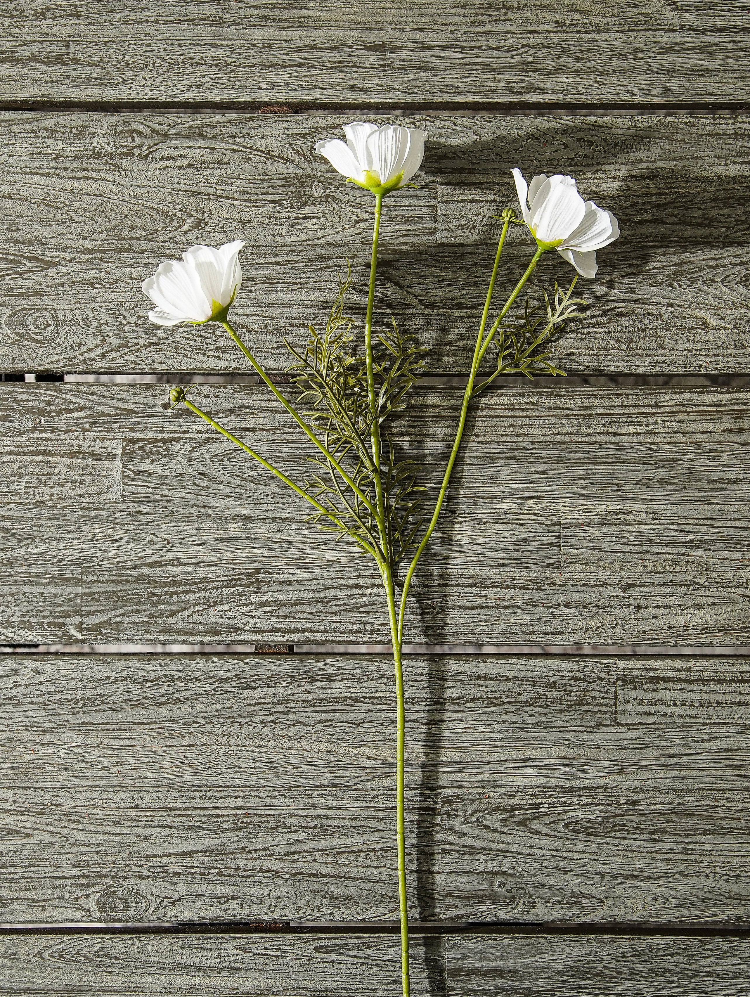 Real Touch White Cosmo Stem
