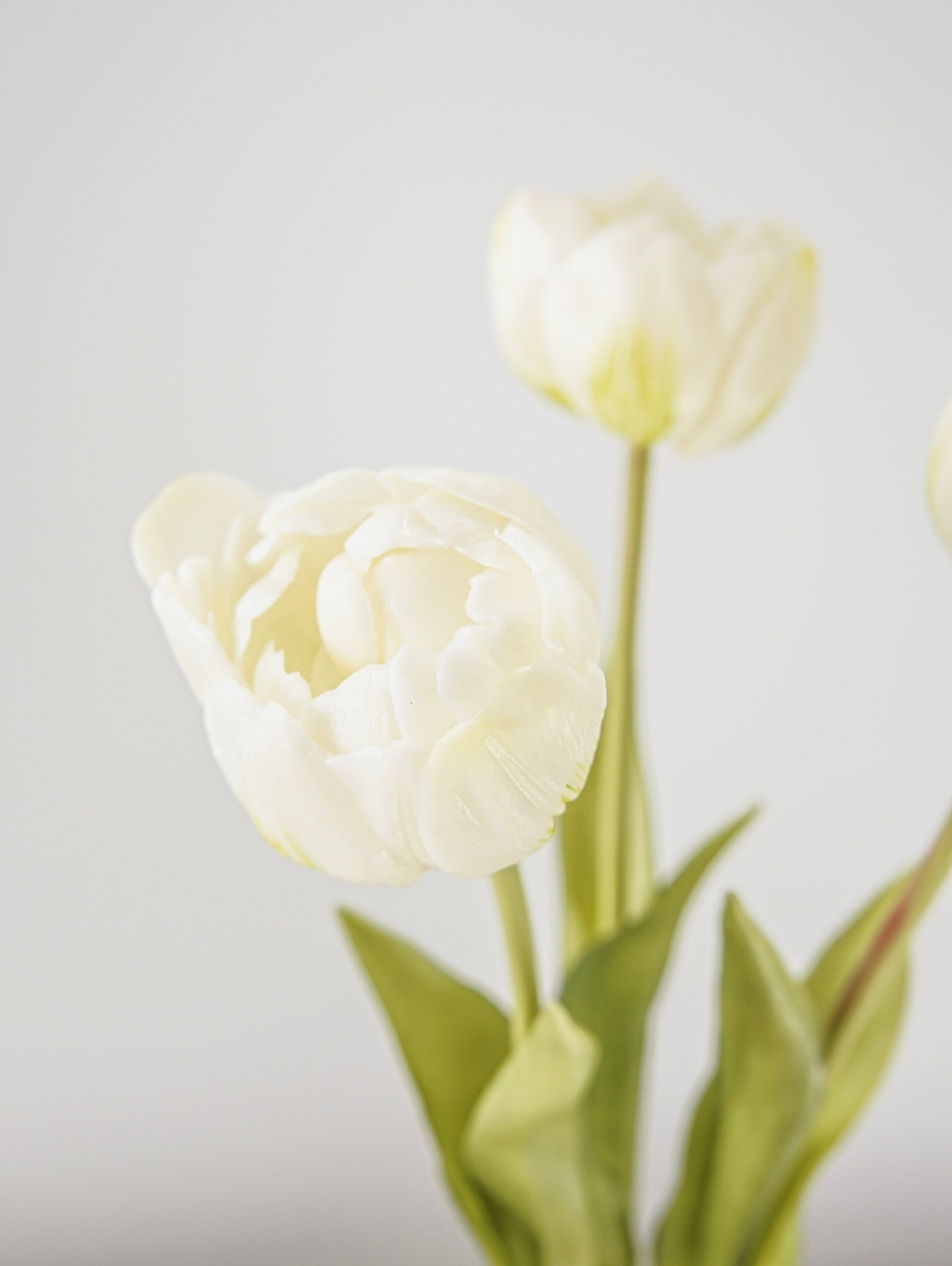 Real Touch Tulip Bouquet | White