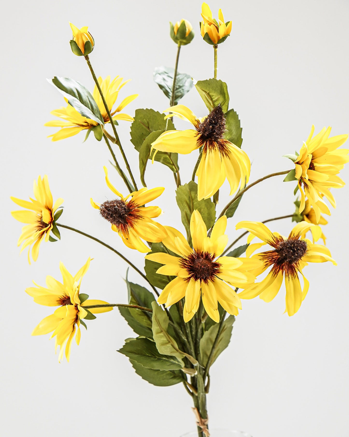 Golden Field Daisy Bunch