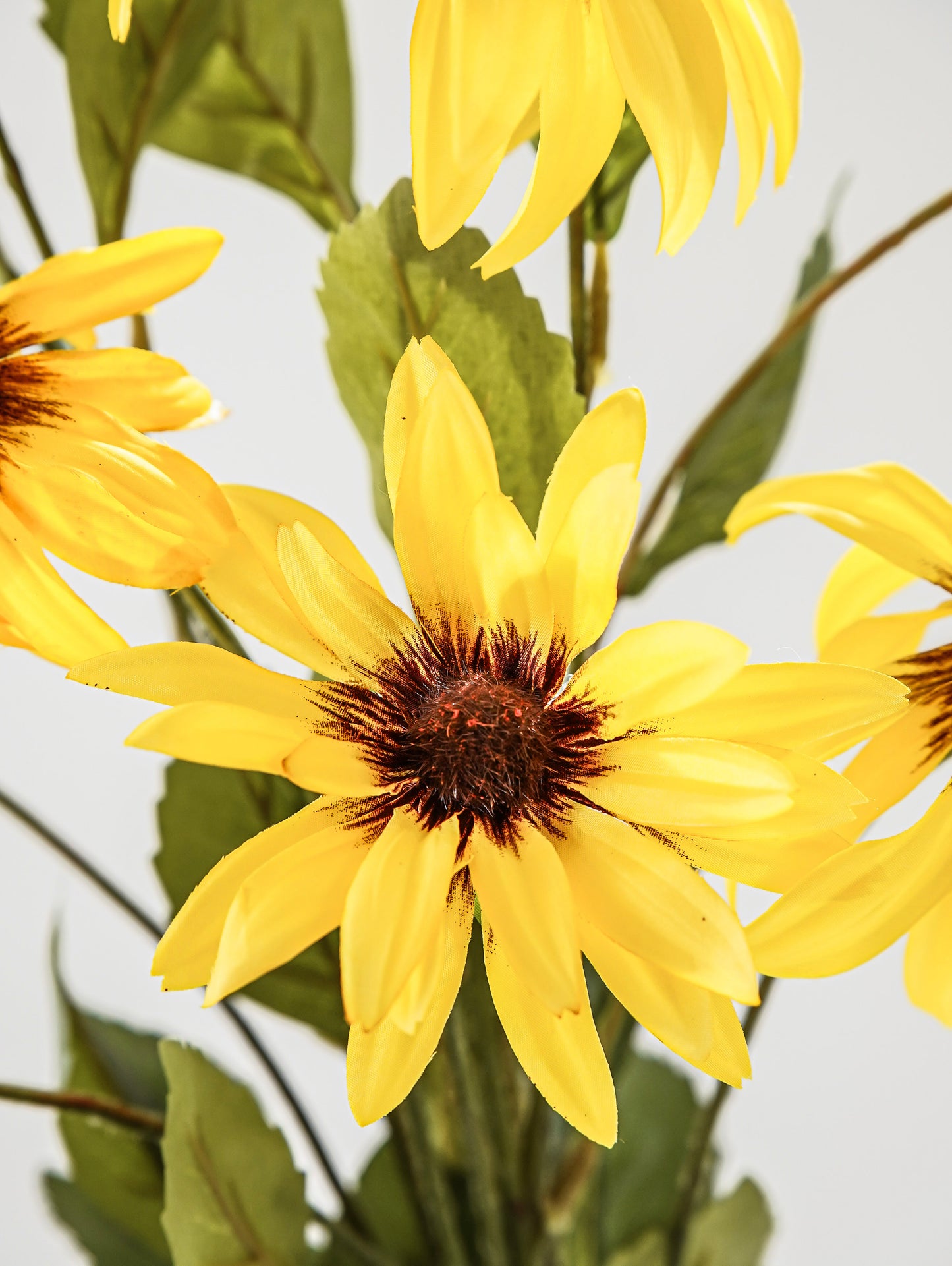 Golden Field Daisy Bunch