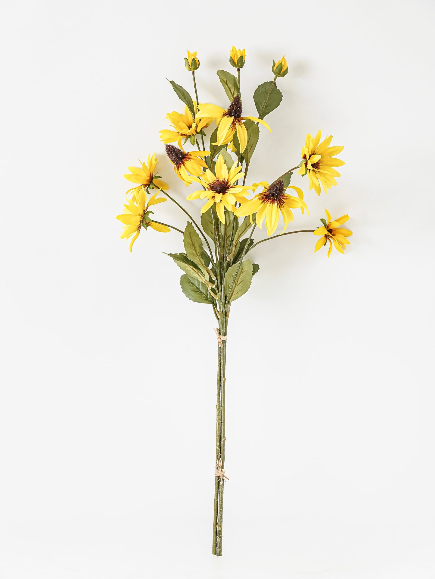 Golden Field Daisy Bunch