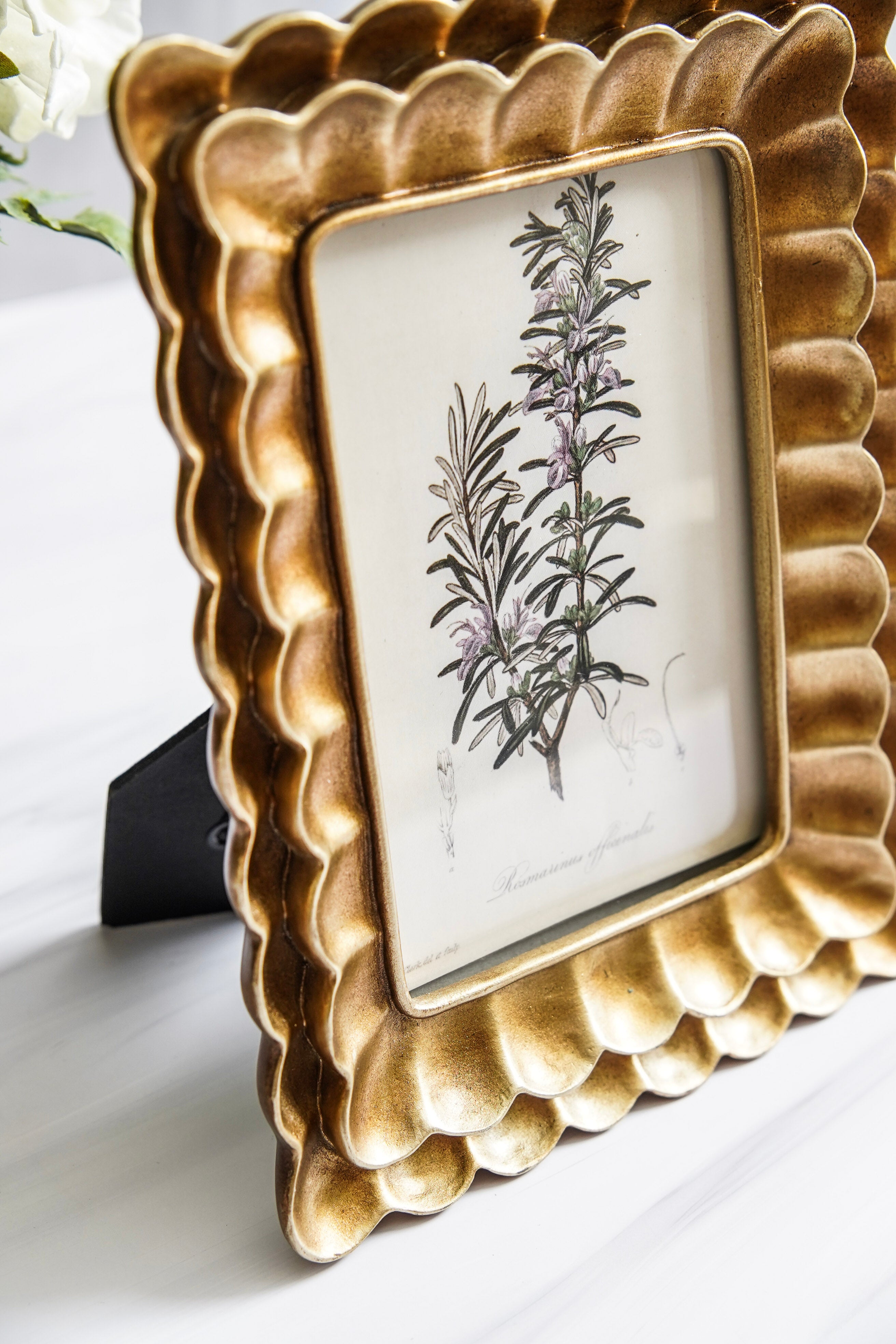 Poppy Scalloped Frame