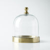 Glass Cloche with Gold Base