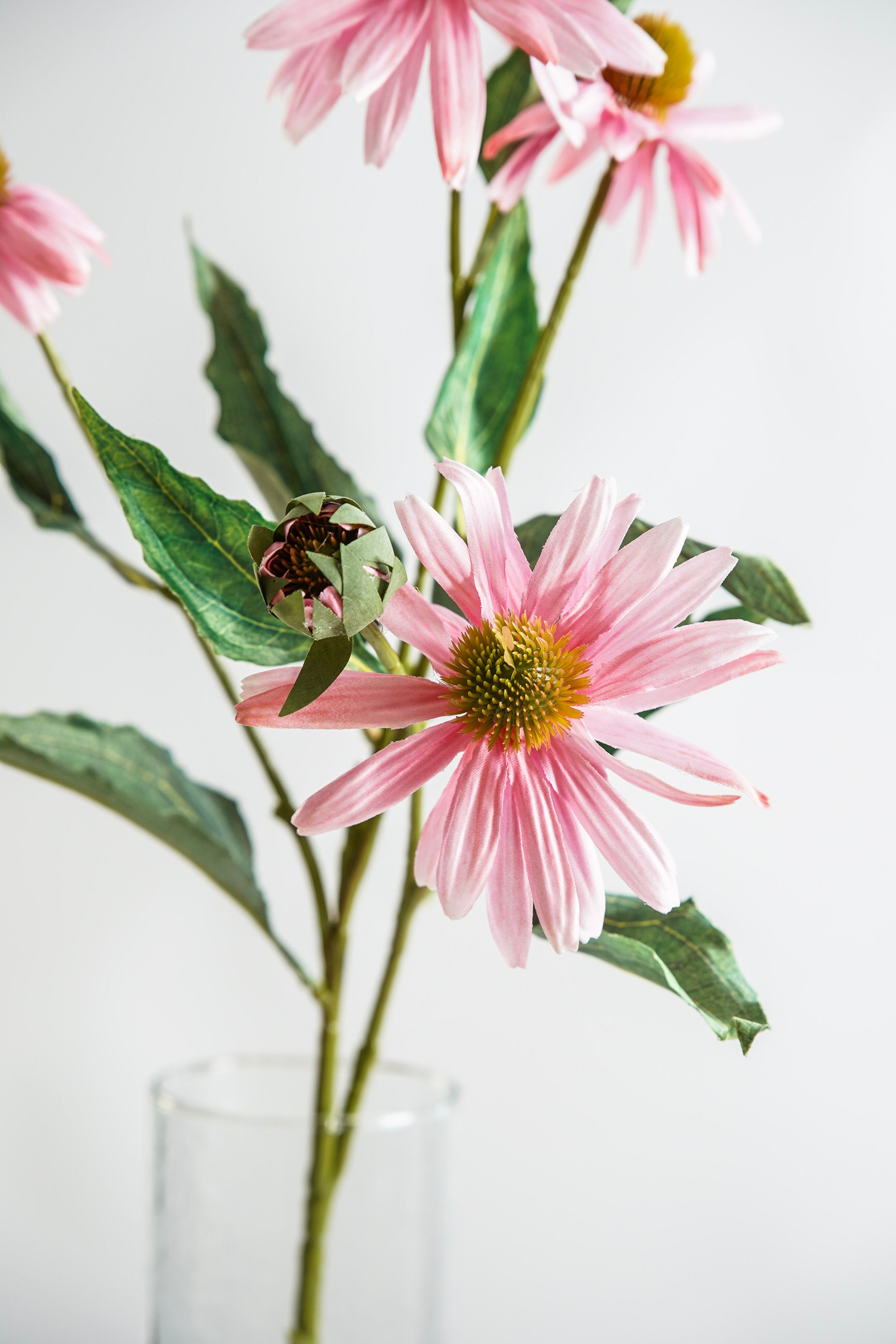 Petal Pink Cone Flower Stem