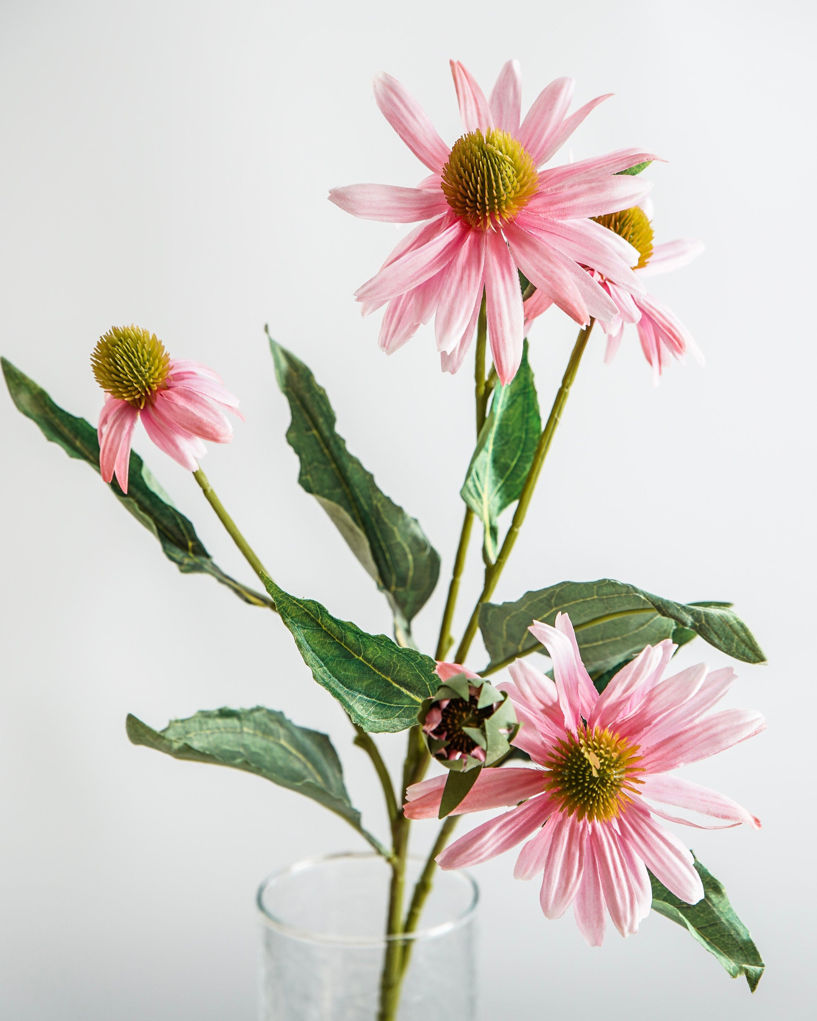 Petal Pink Cone Flower Stem