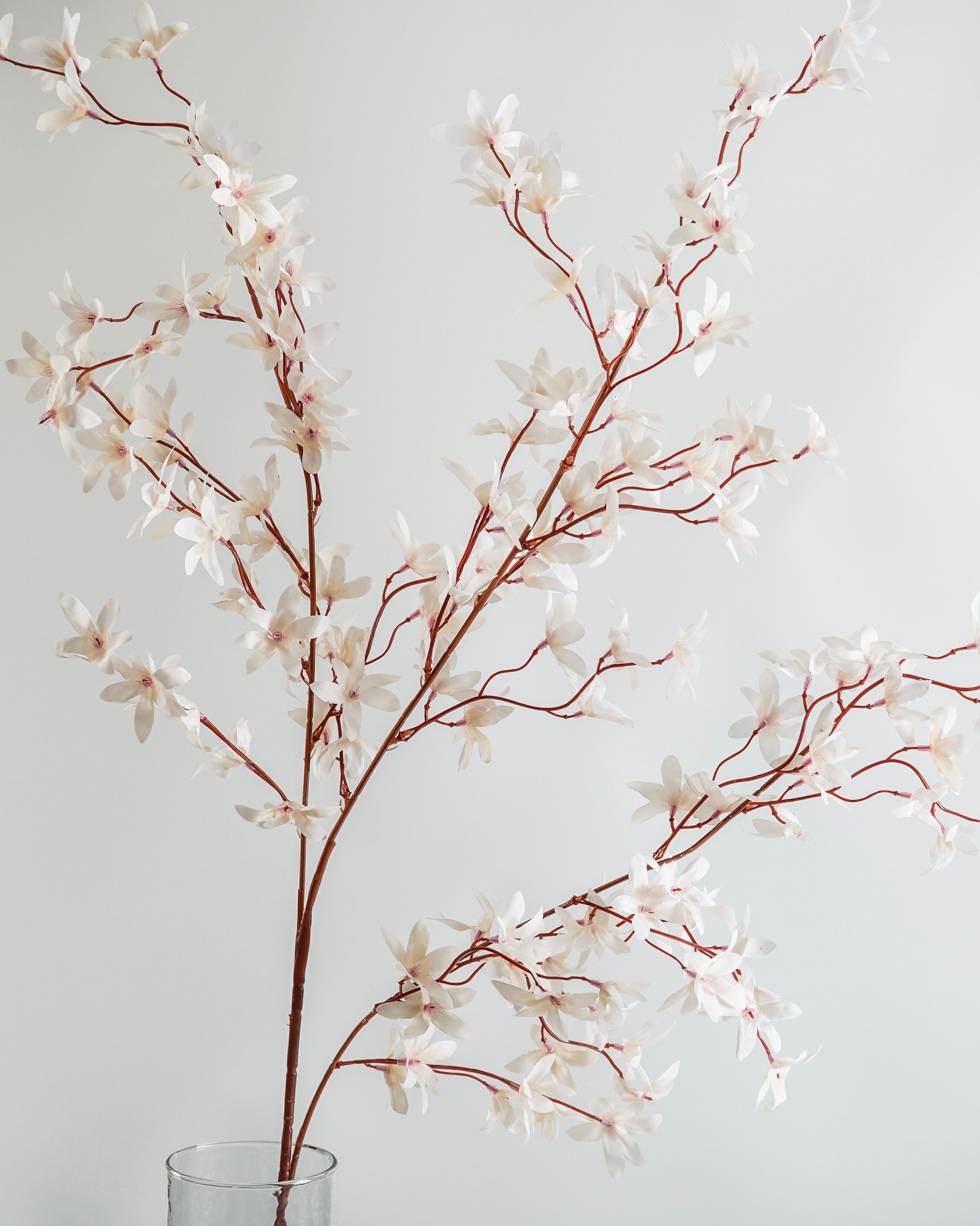 Whisper Pink Blossom Branch