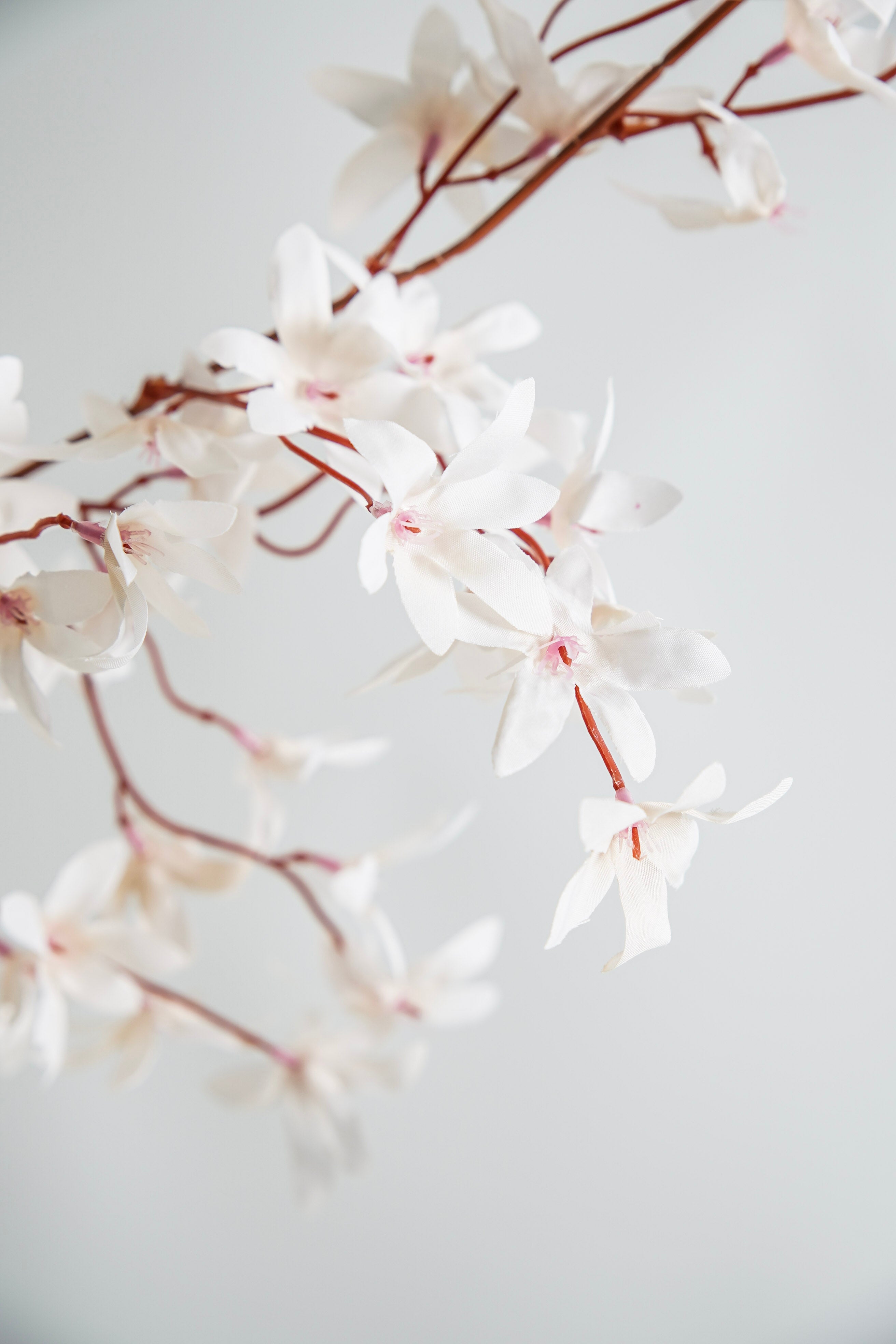 Whisper Pink Blossom Branch
