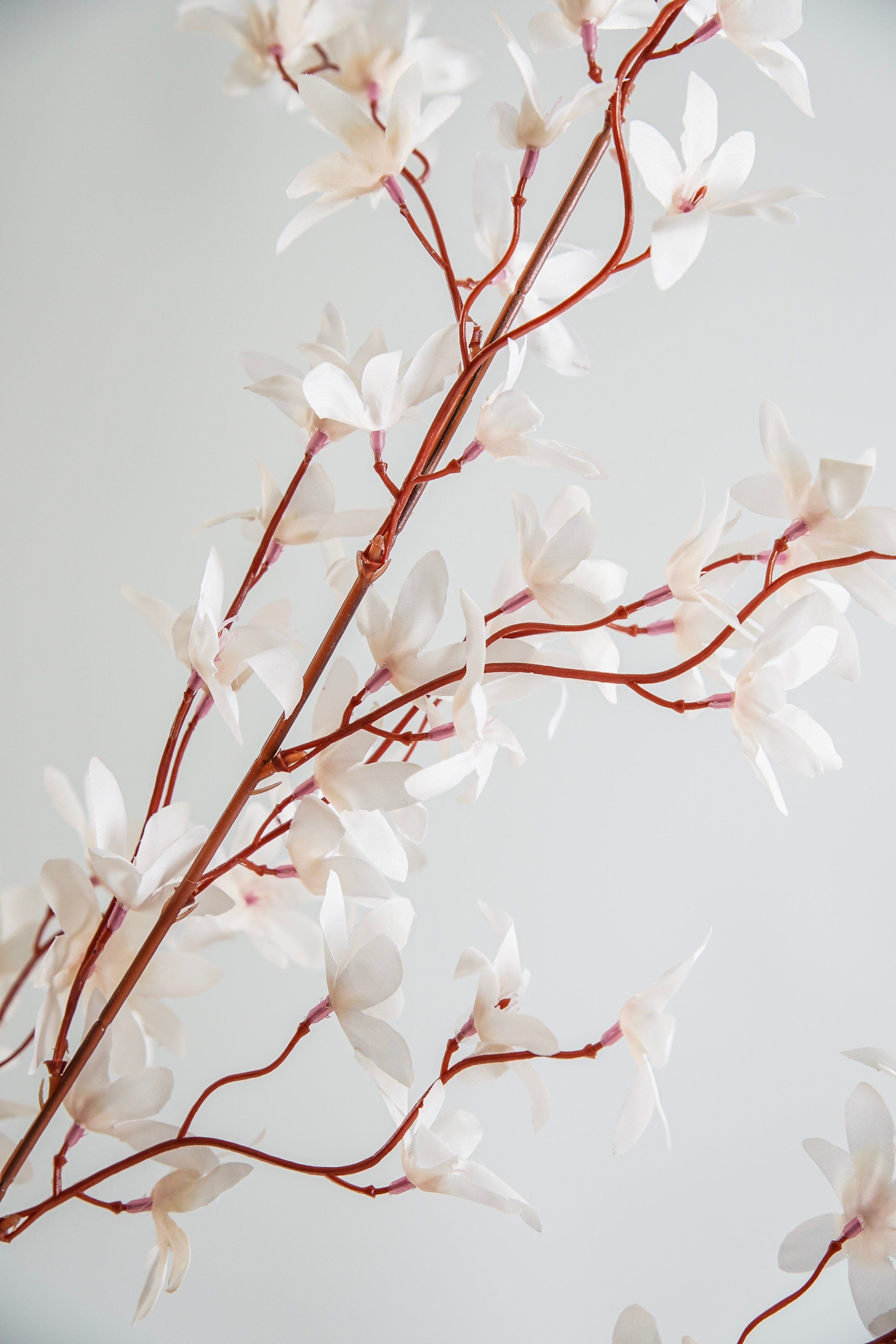 Whisper Pink Blossom Branch