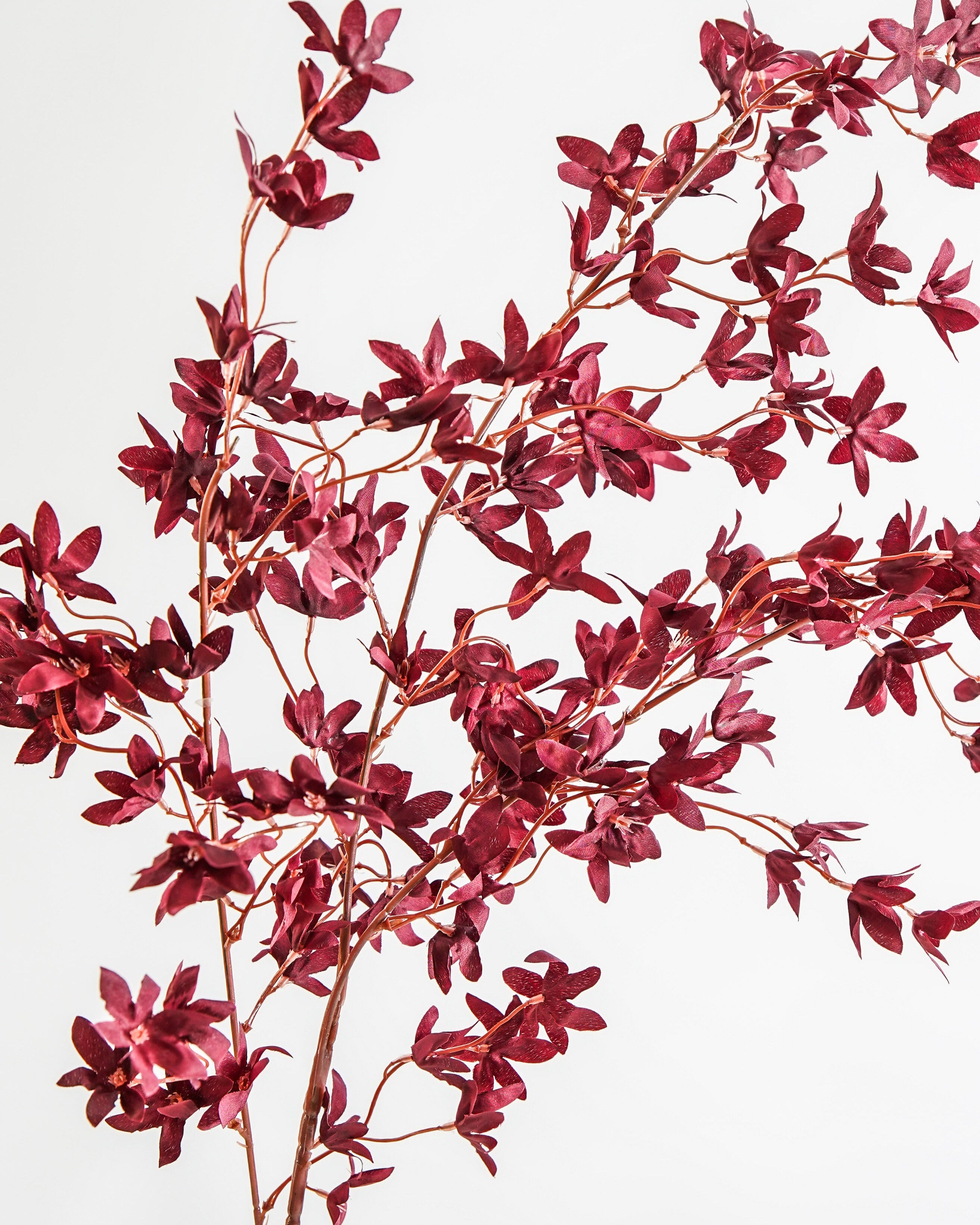 Plum Blossom Branch