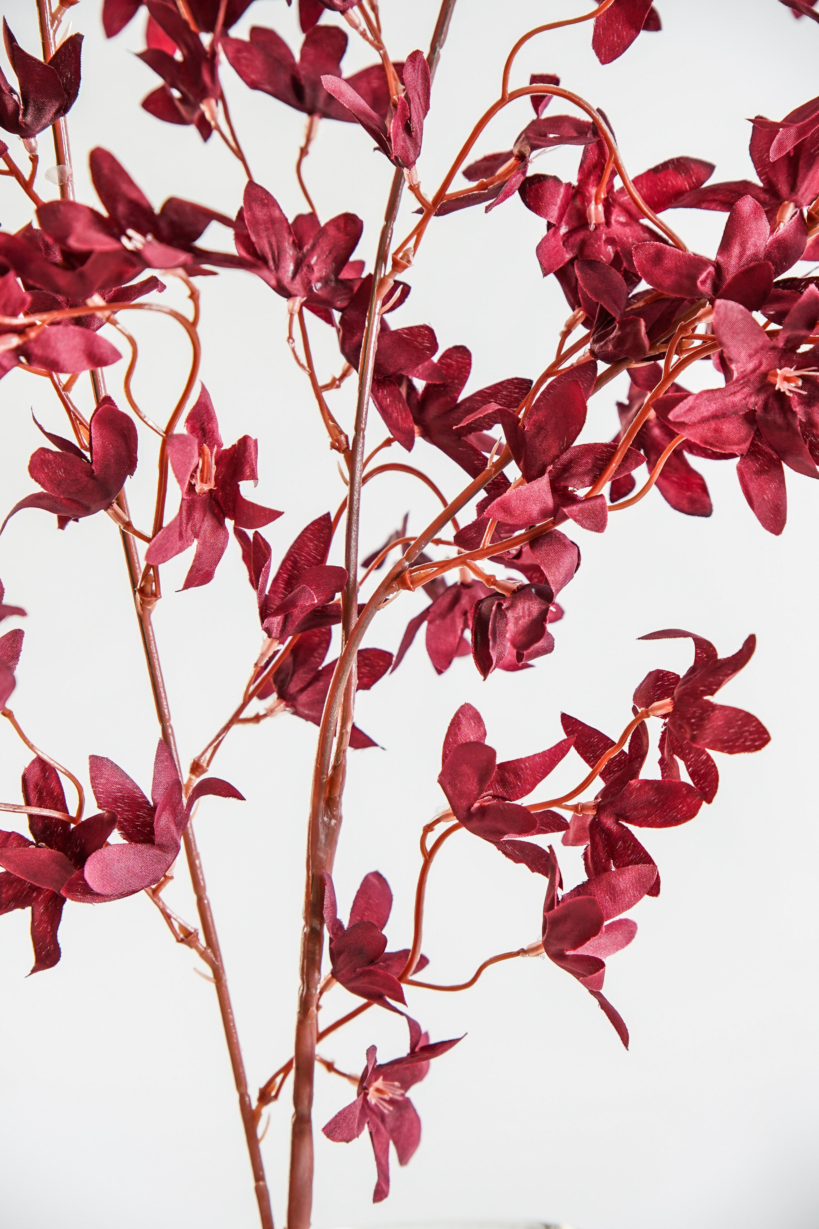Plum Blossom Branch