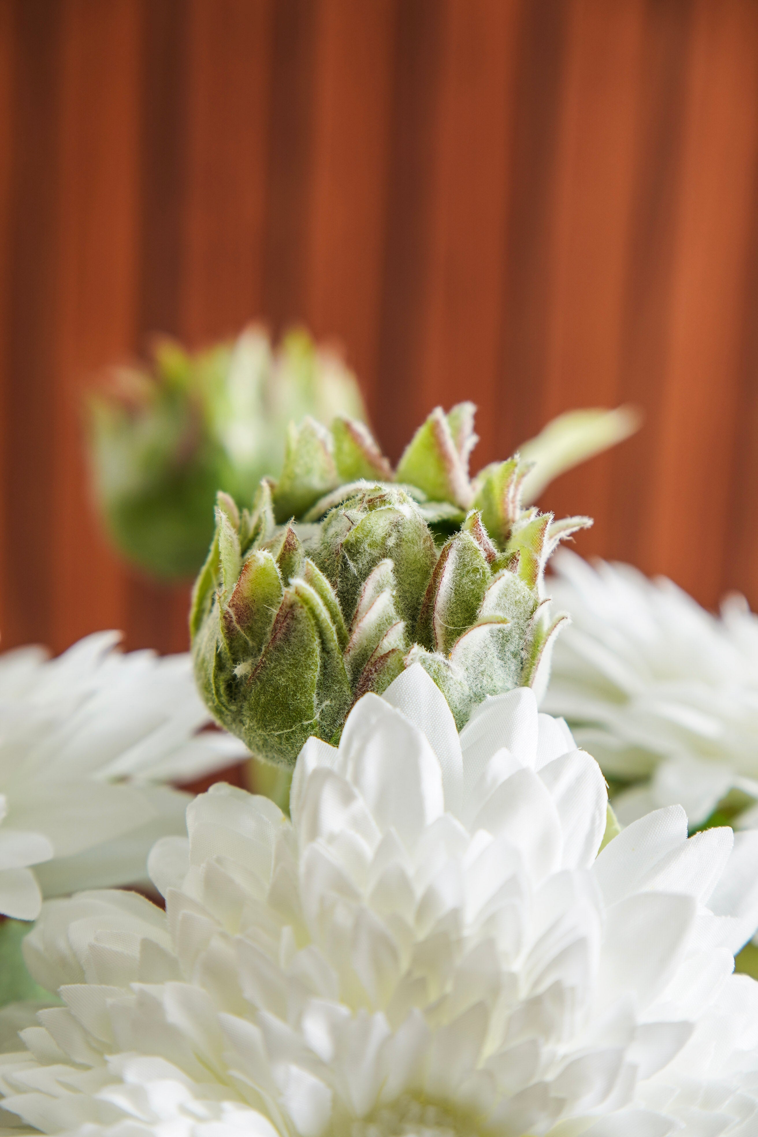 White Sunflower Styled Look