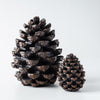 Resin Decorative Pinecone