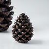 Resin Decorative Pinecone