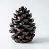 Resin Decorative Pinecone