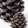 Resin Decorative Pinecone