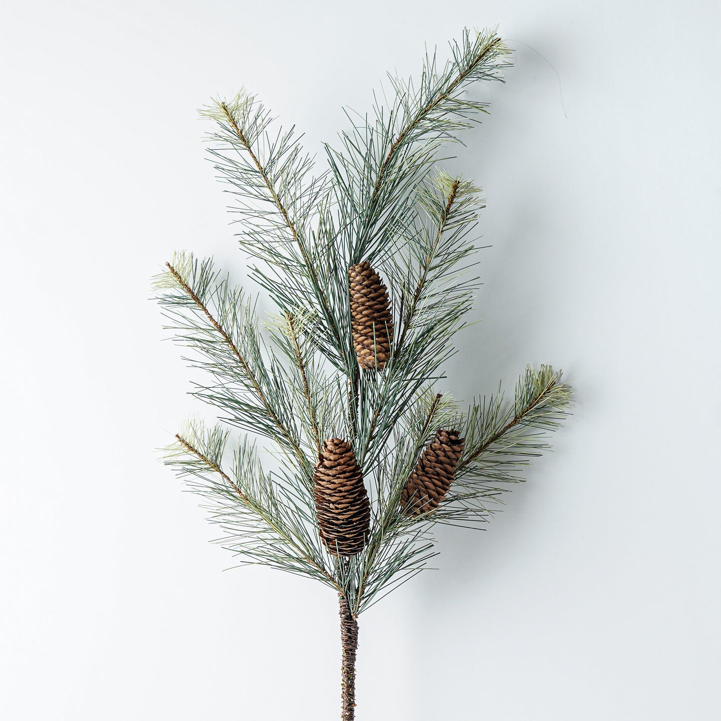 Black Valley Pine Spray