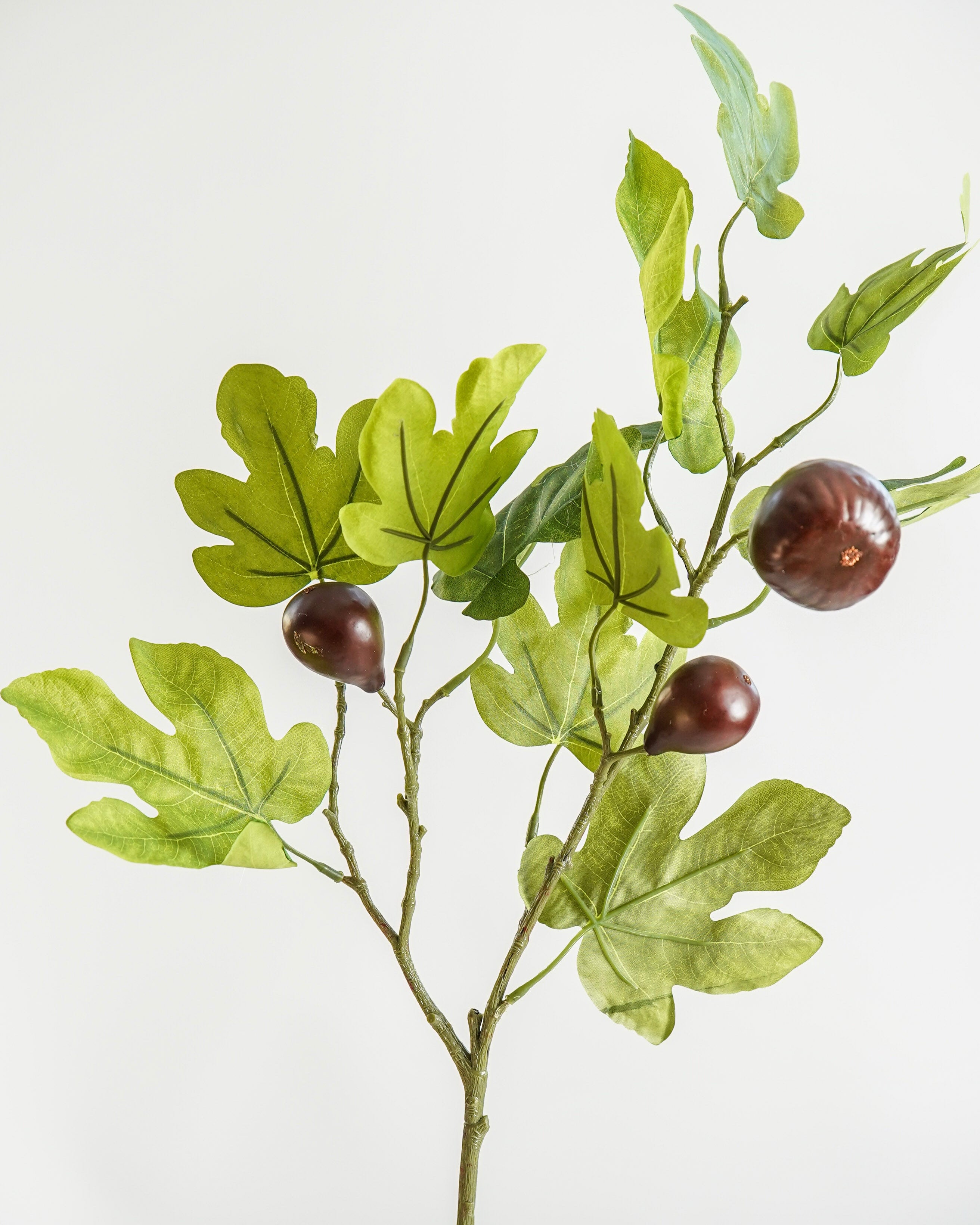 Faux Fig Stem