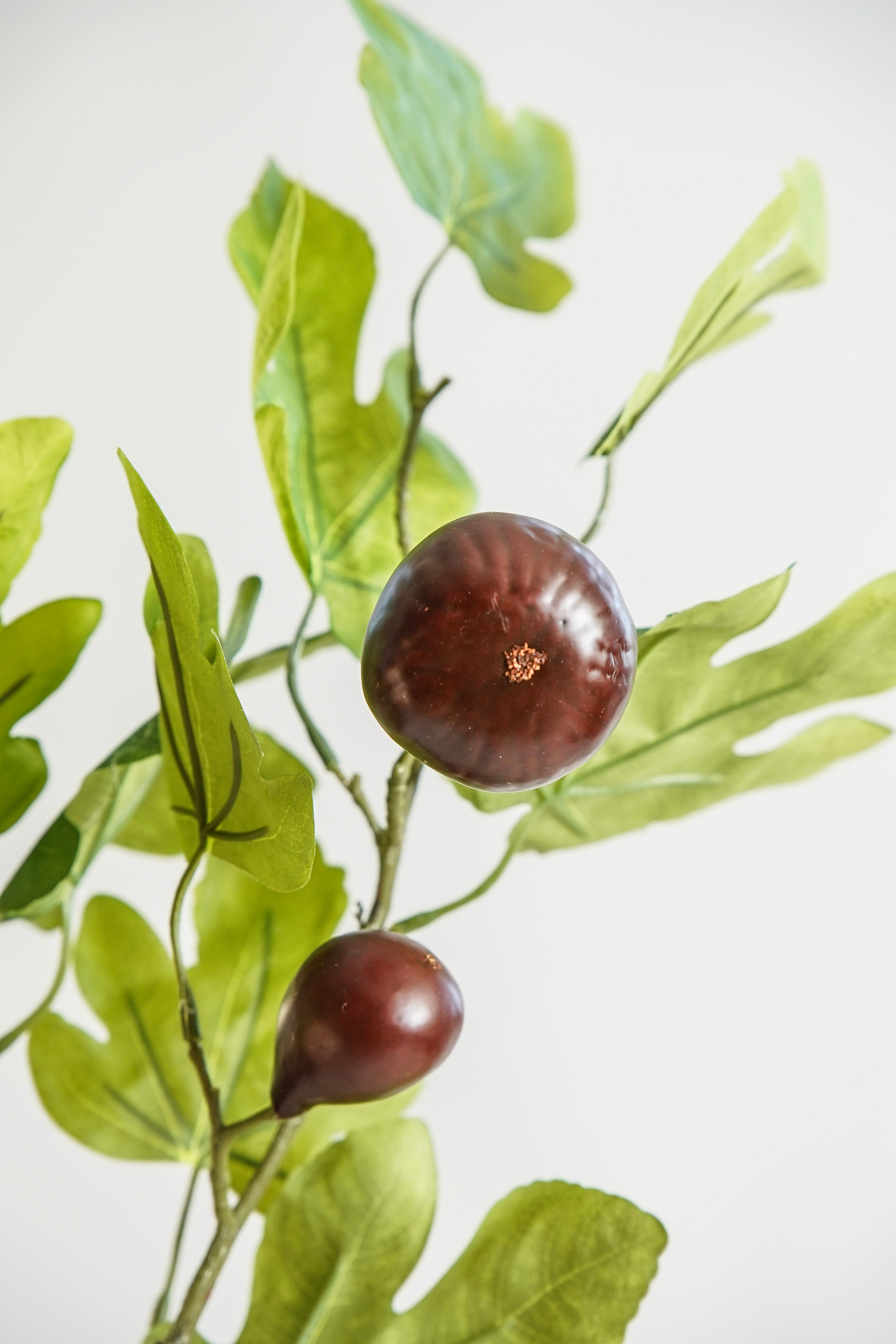 Faux Fig Stem