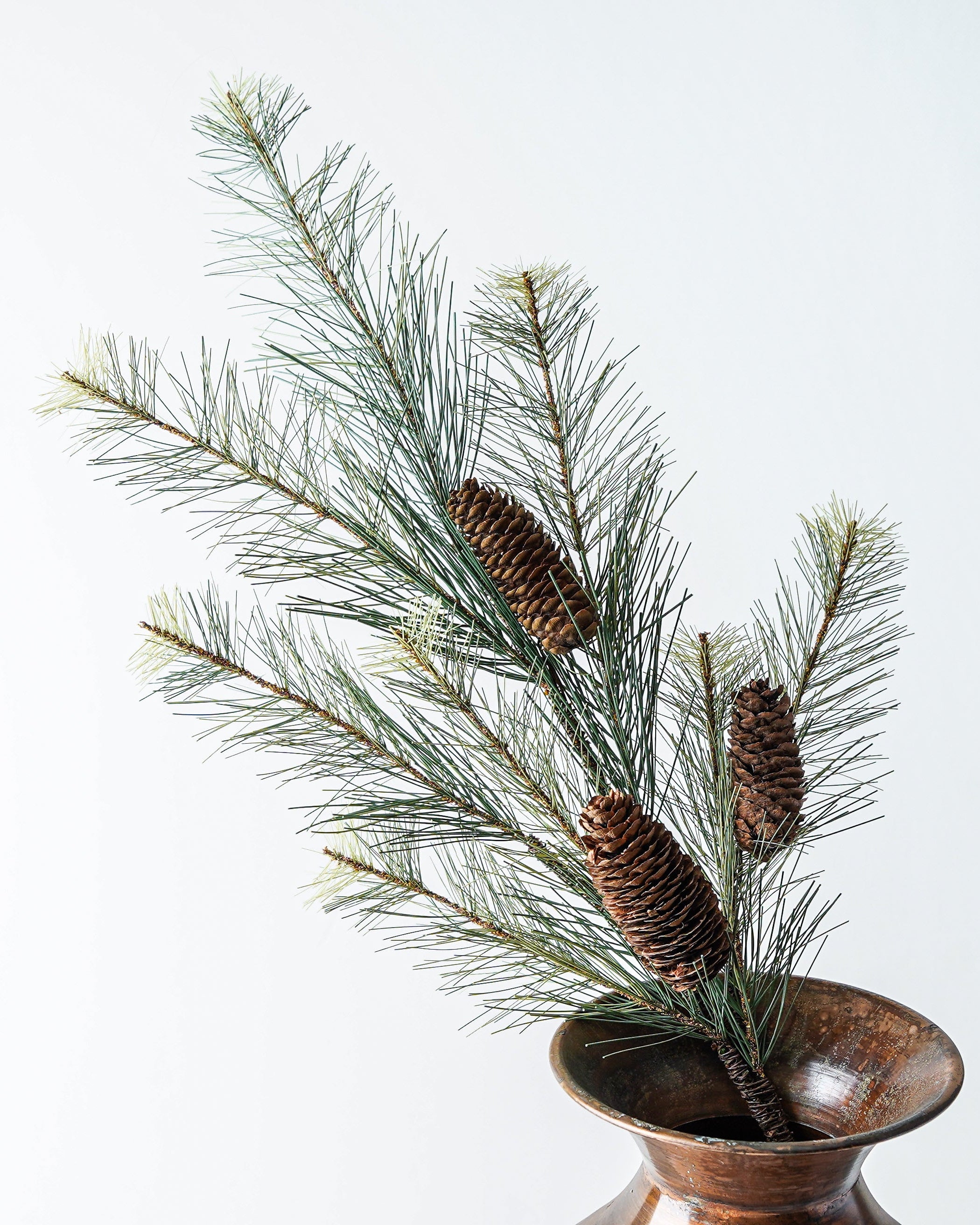 Black Valley Pine Spray