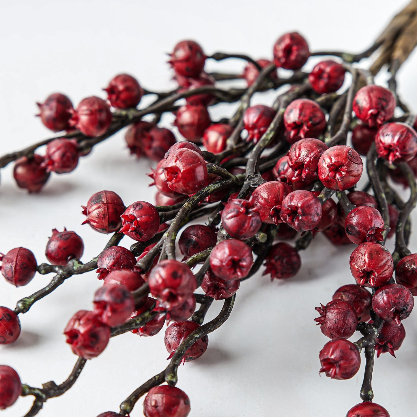 Hearth Berry Bush | 15"