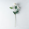 Chrysanthemum Stem | Cream