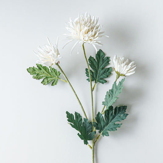 Chrysanthemum Stem | Cream