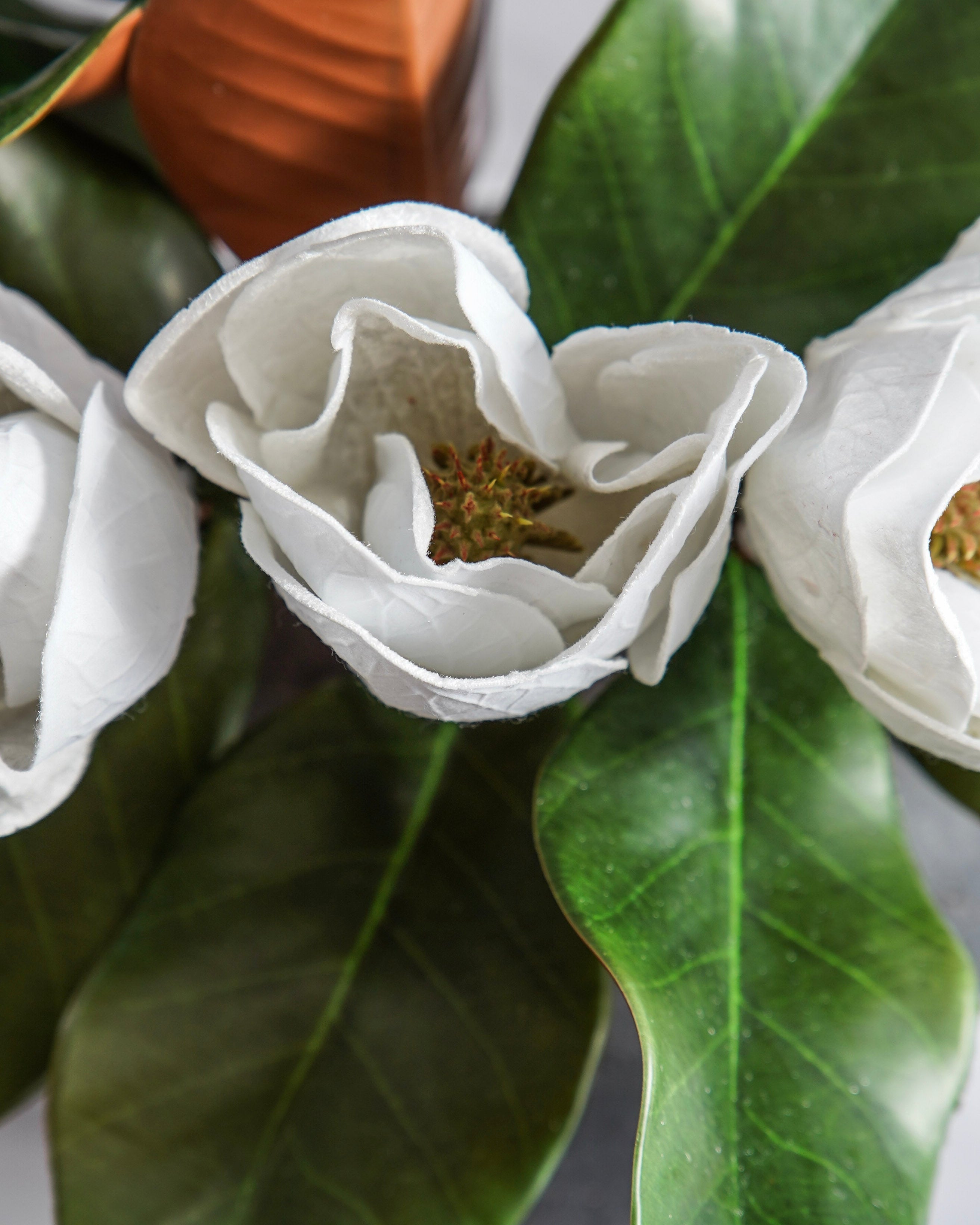 Southern Magnolia Luxe Styled Look
