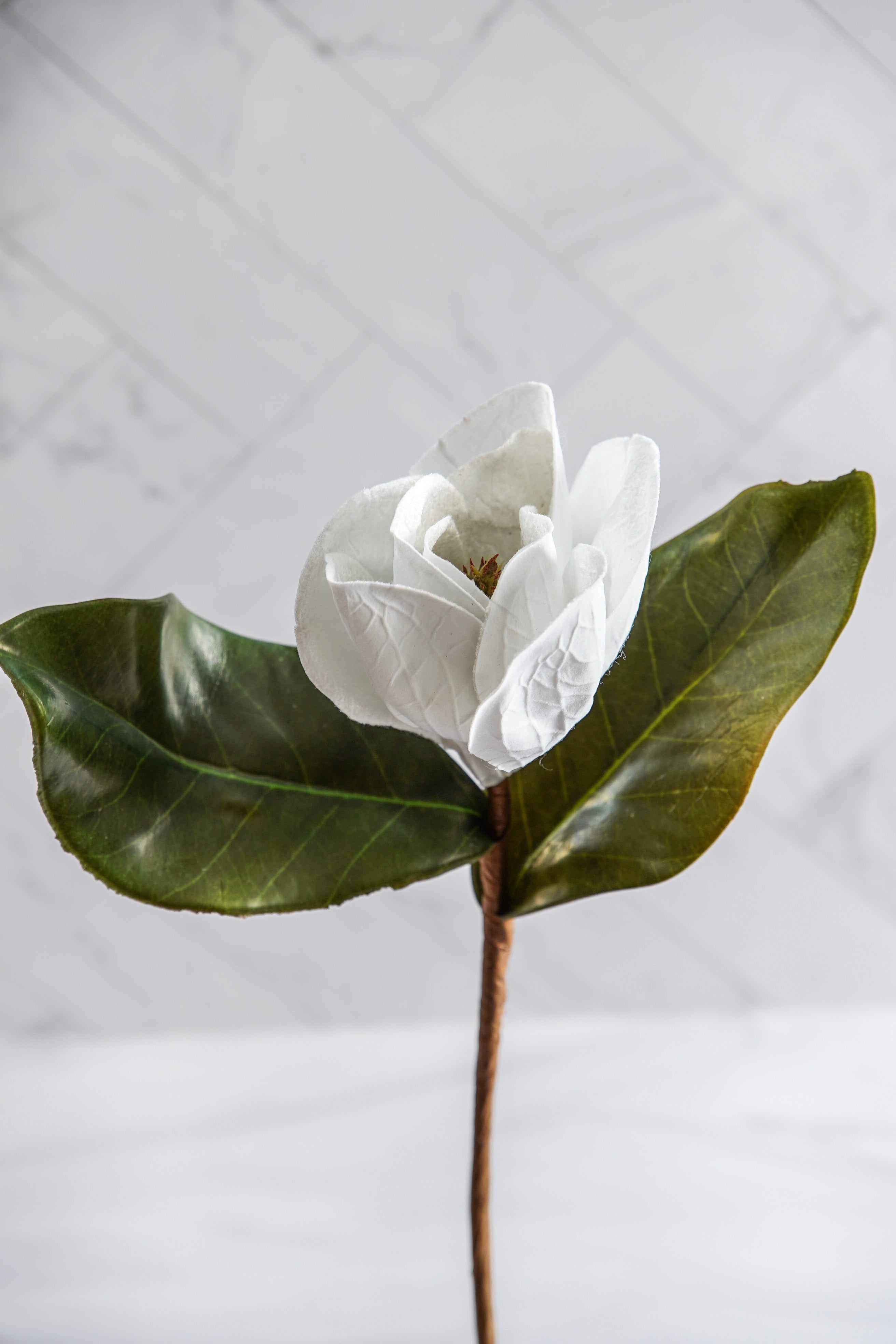 Southern Magnolia Luxe Styled Look