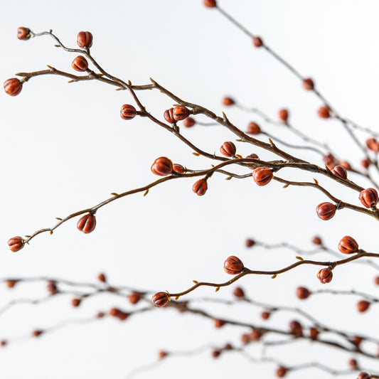 Rustic Fall Berry Stem | 24"