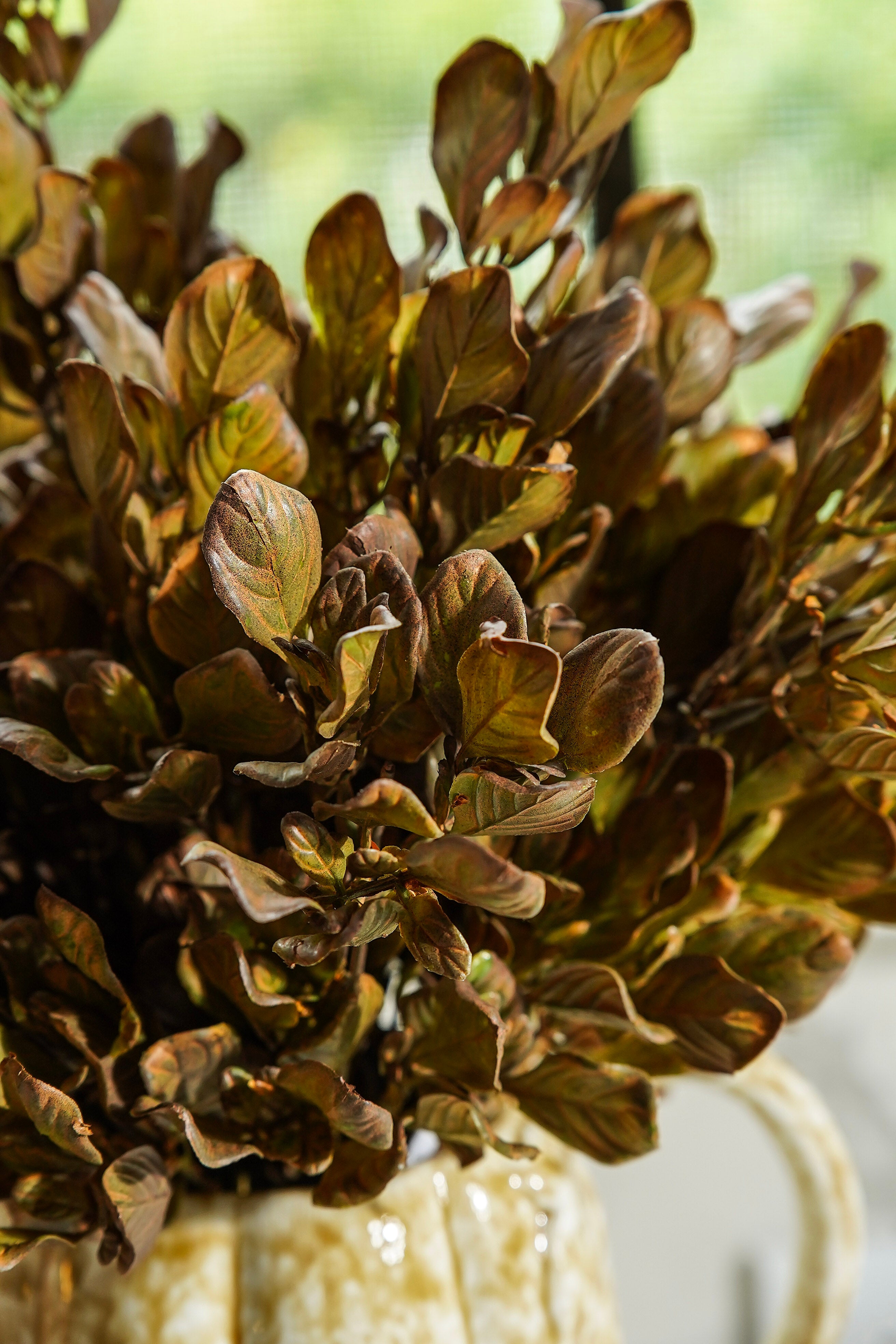 Golden Meadow Leaf Stem