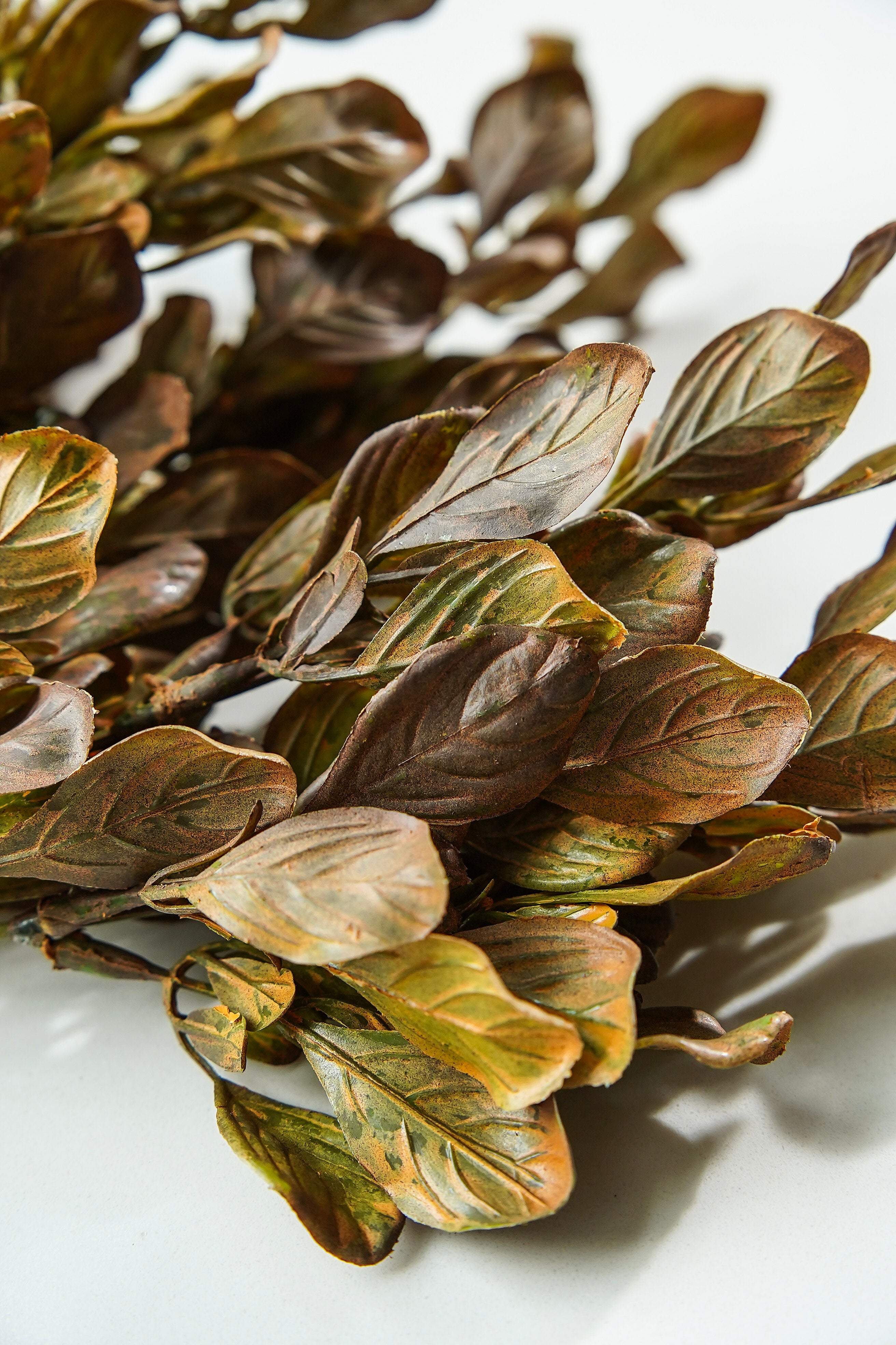Golden Meadow Leaf Stem
