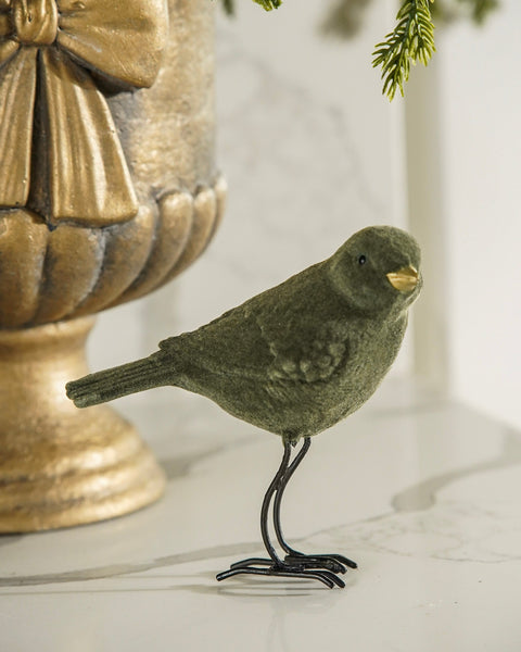 Green Velvet Bird