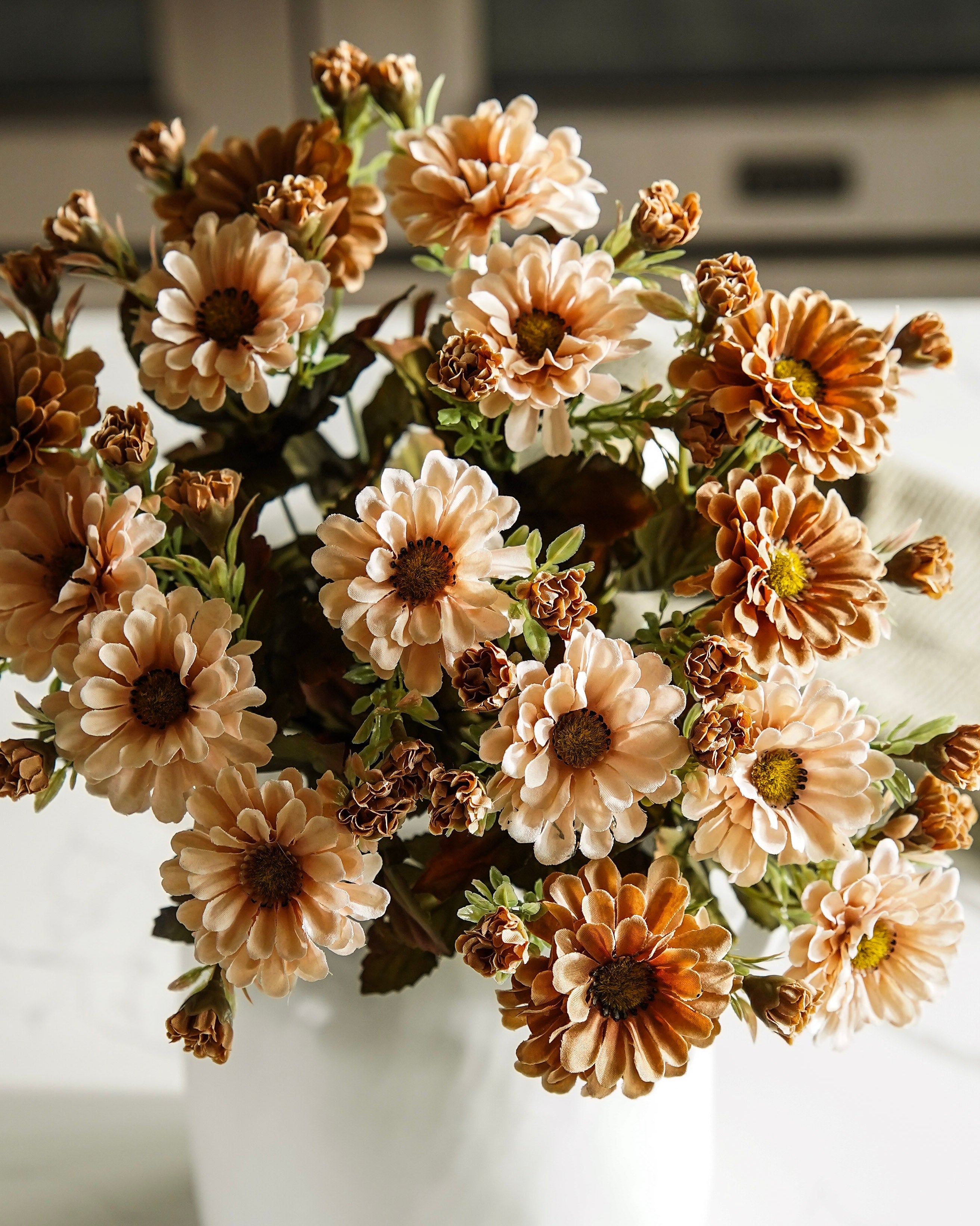 Beige Mum Bush