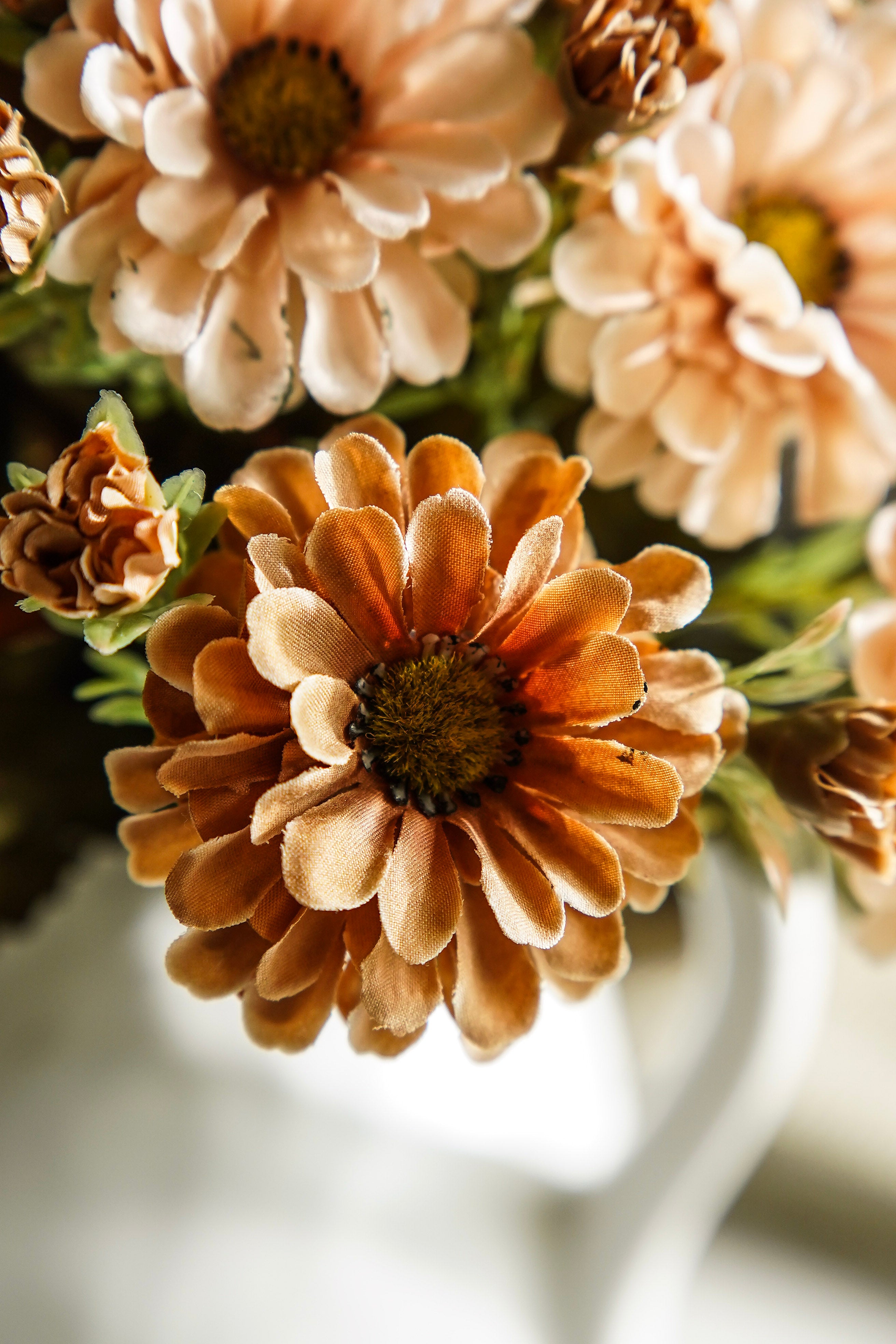 Beige Mum Bush
