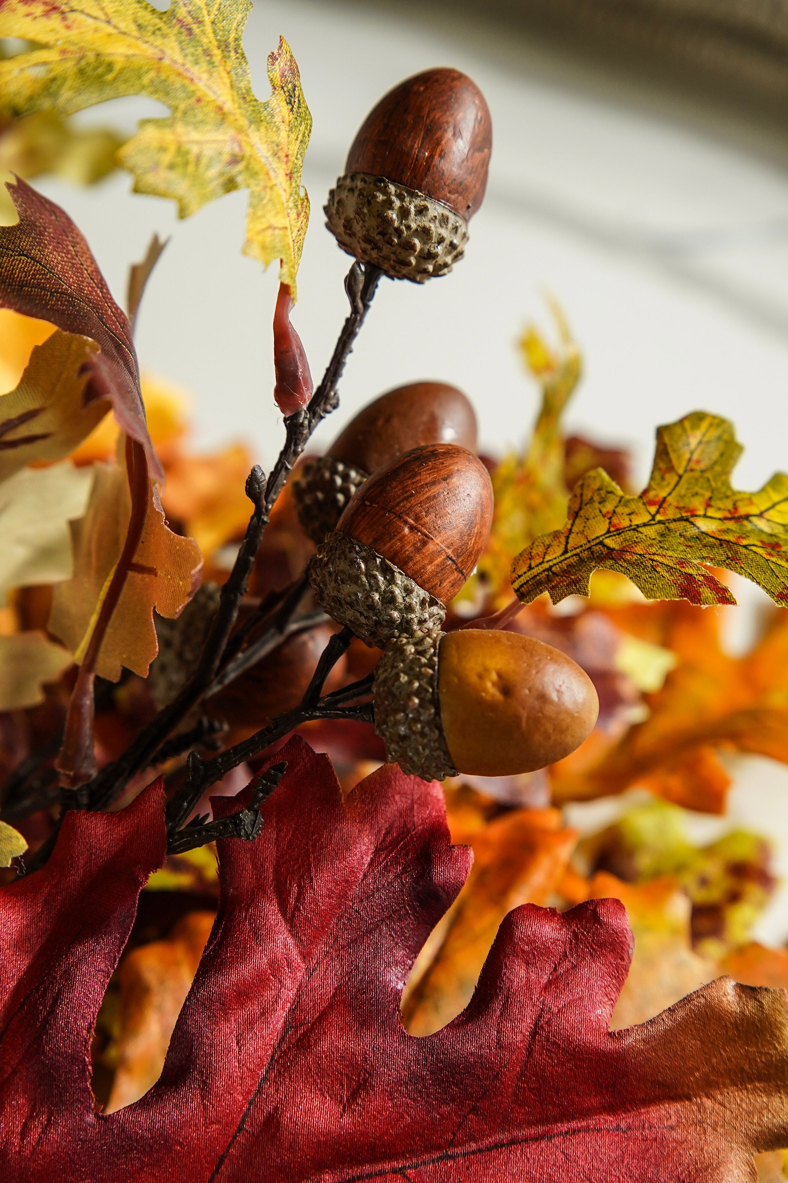 Autumn Welcome Styled Look