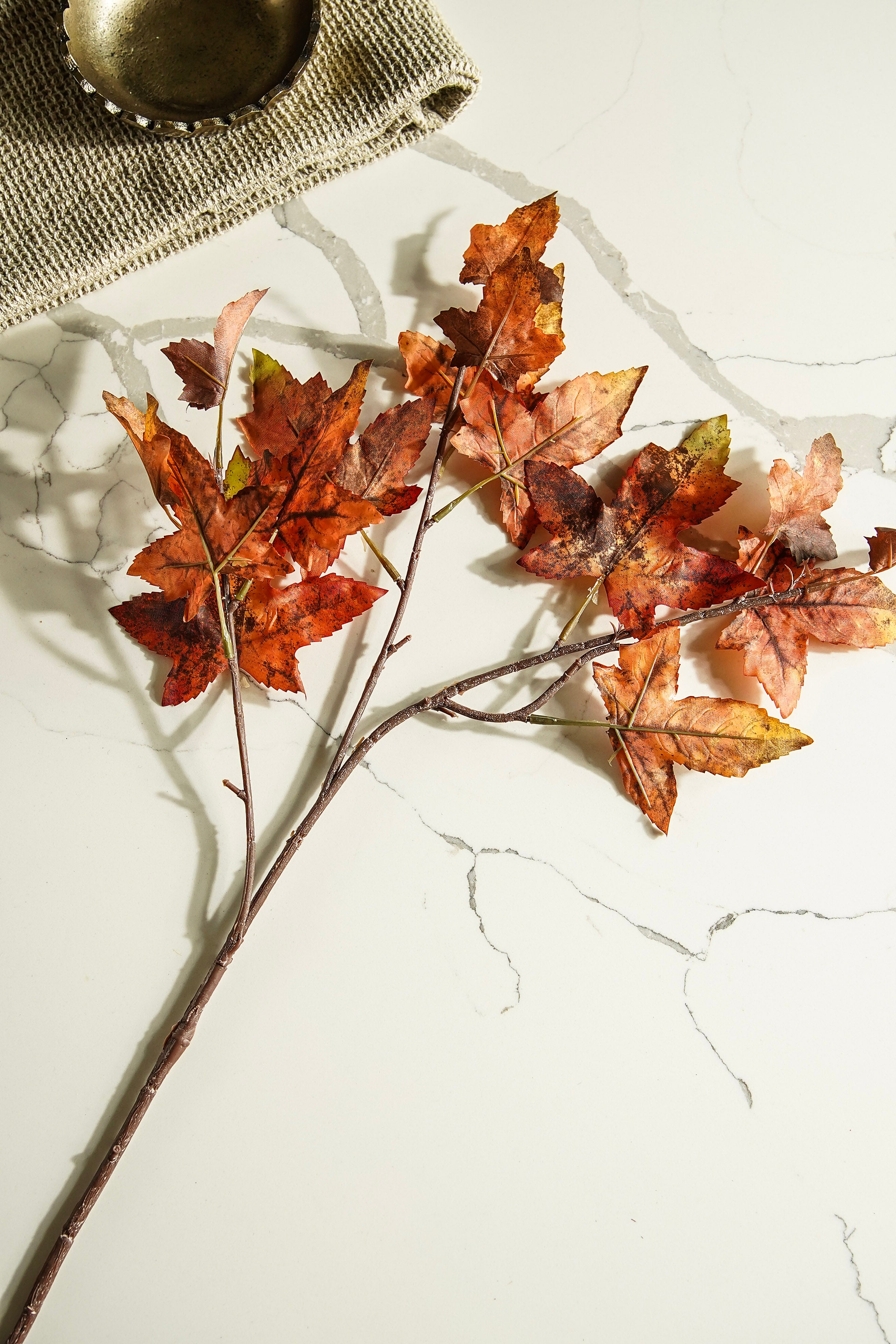 Autumn Maple Leaf Stem