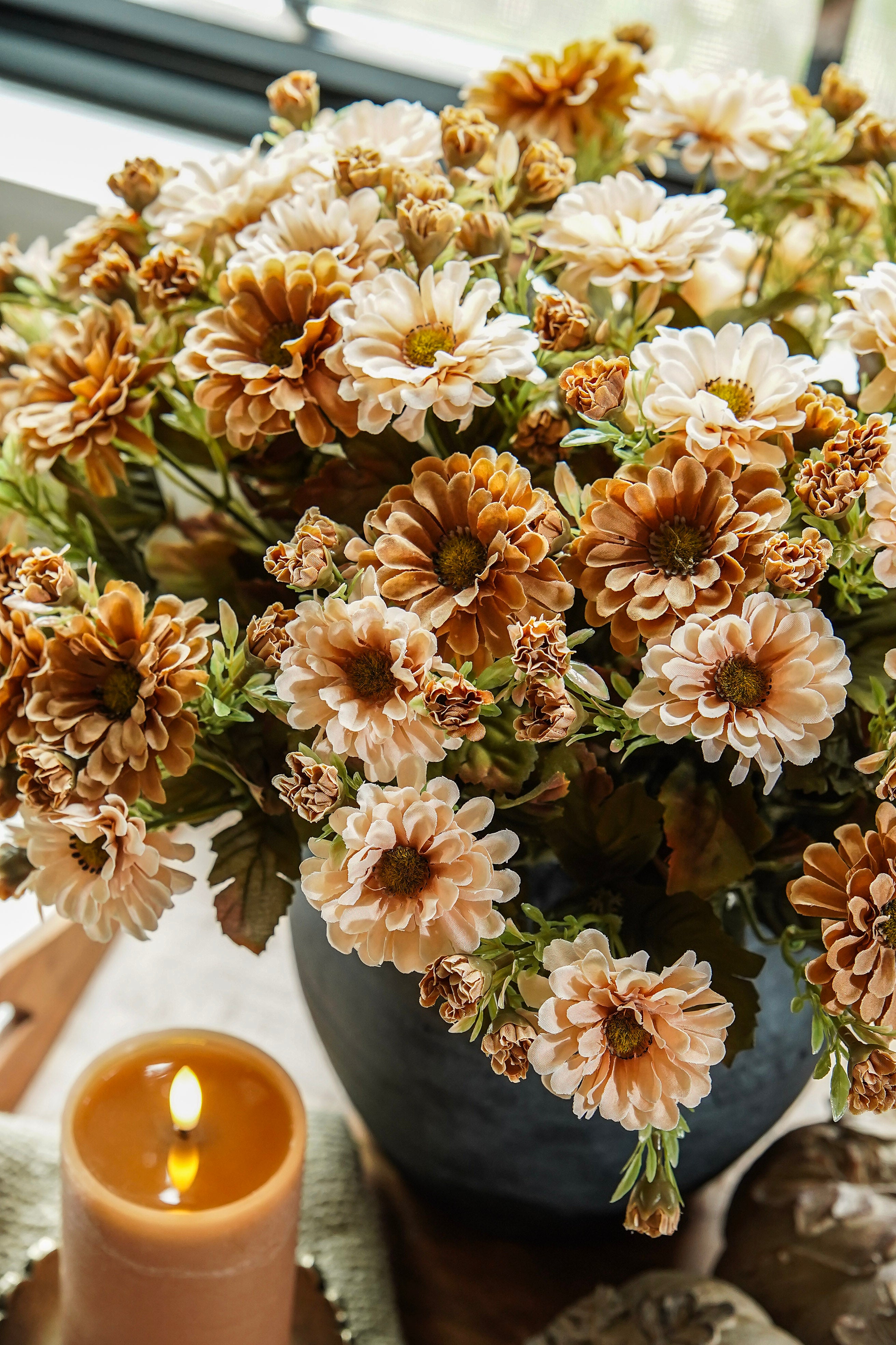 Beige Mum Bush