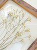 Dried Babies Breath Wall Art Set