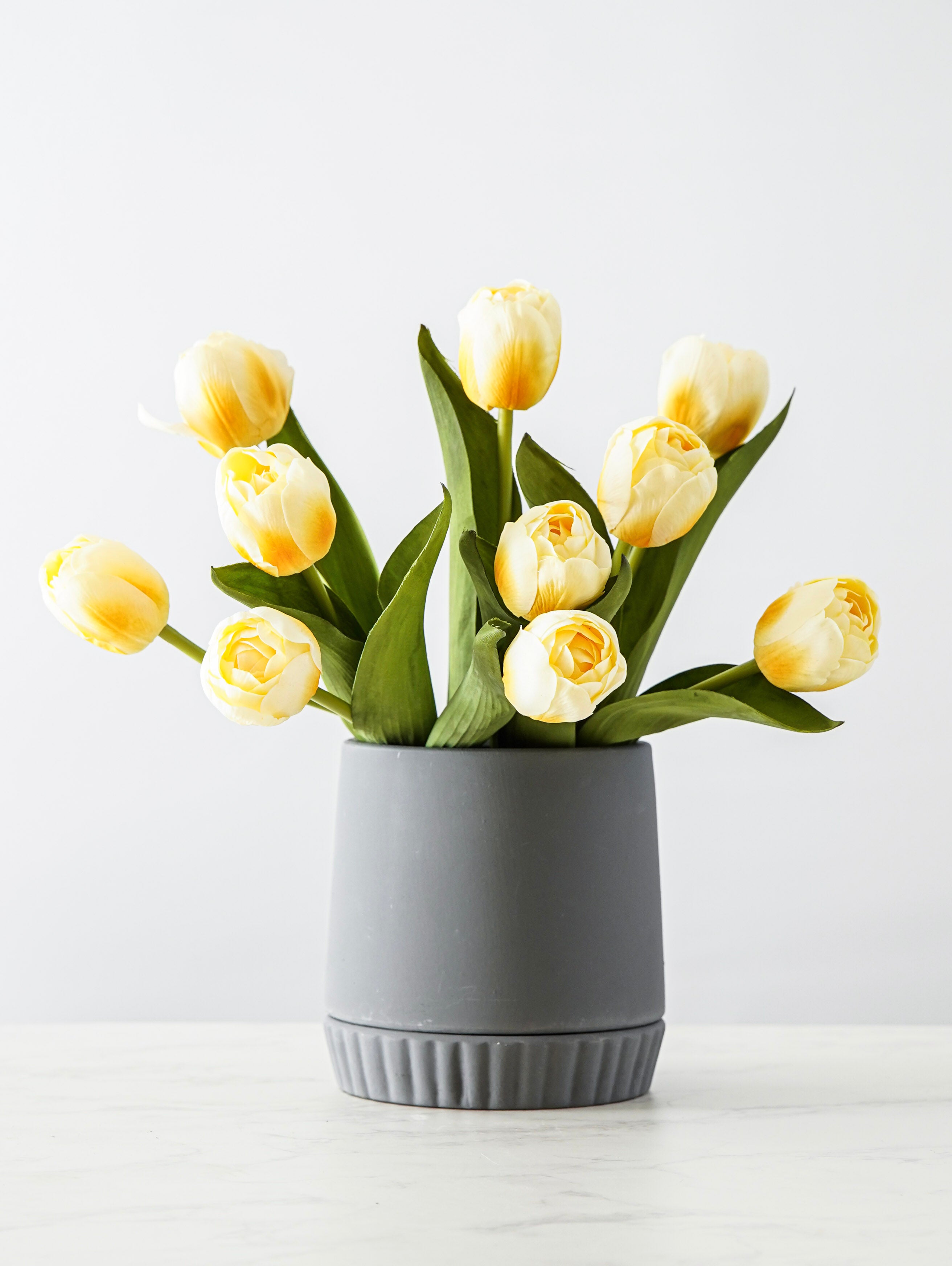 Everette Ceramic Pot with Saucer