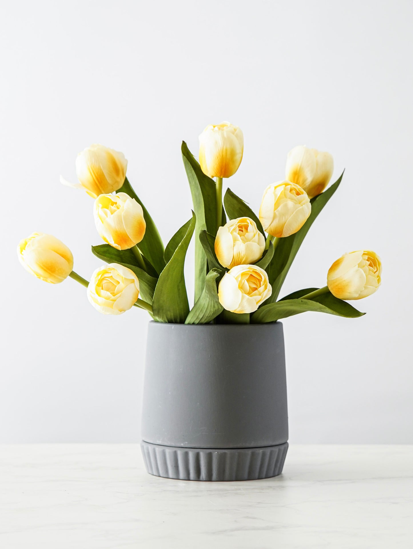 Everette Ceramic Pot with Saucer