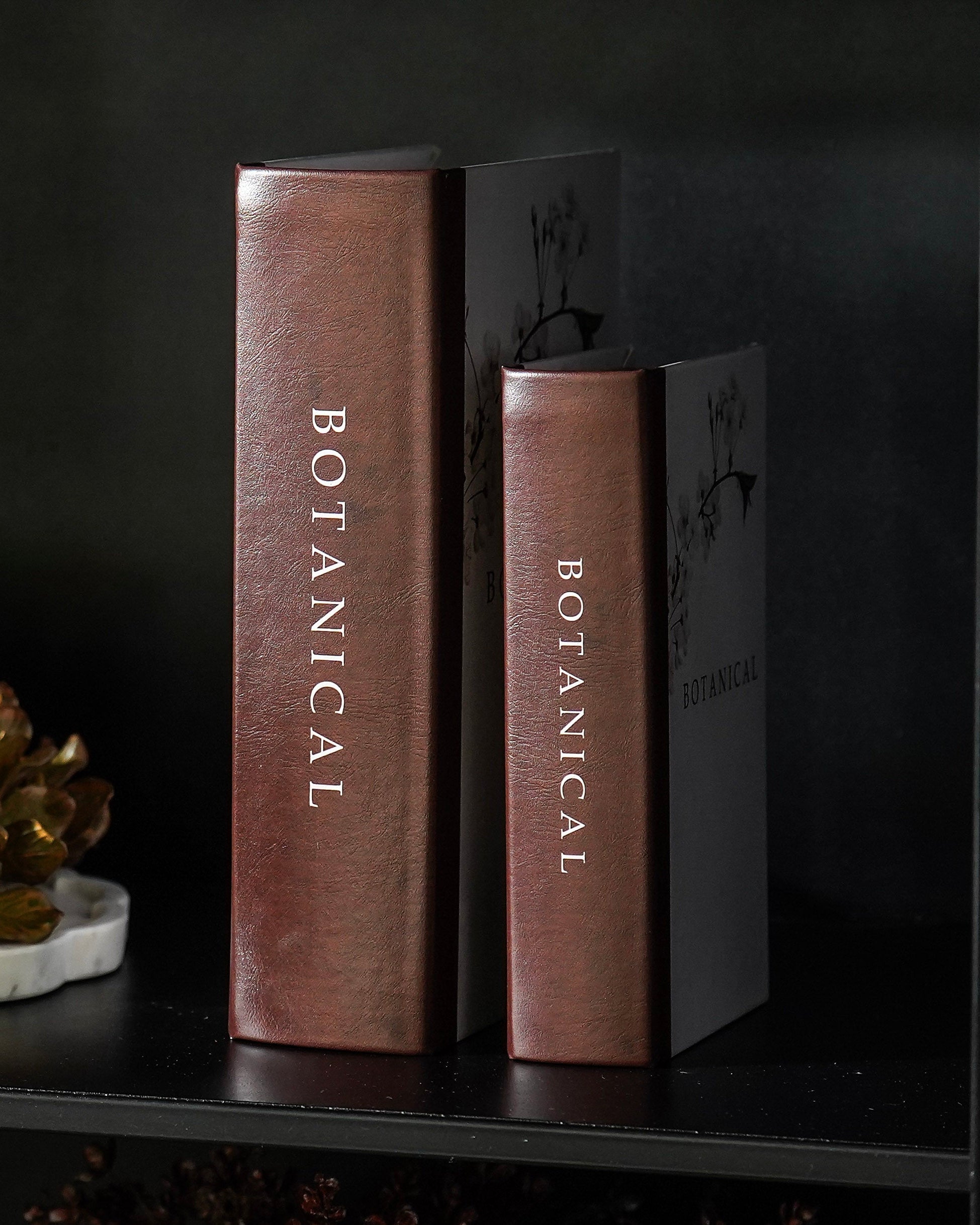 Harvest Library Styled Look