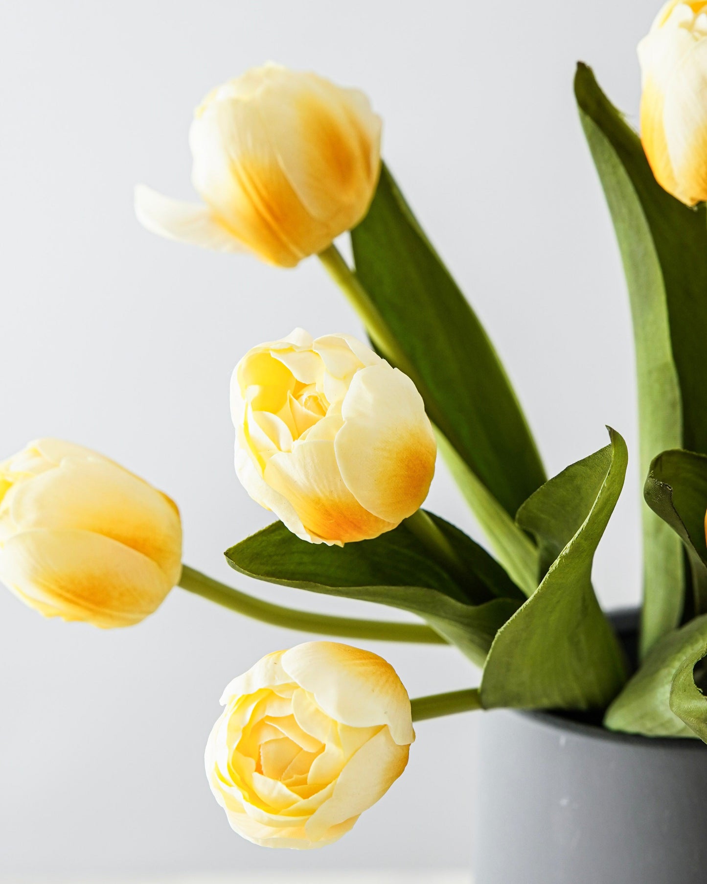 Styled Look: Soft Morning Tulips