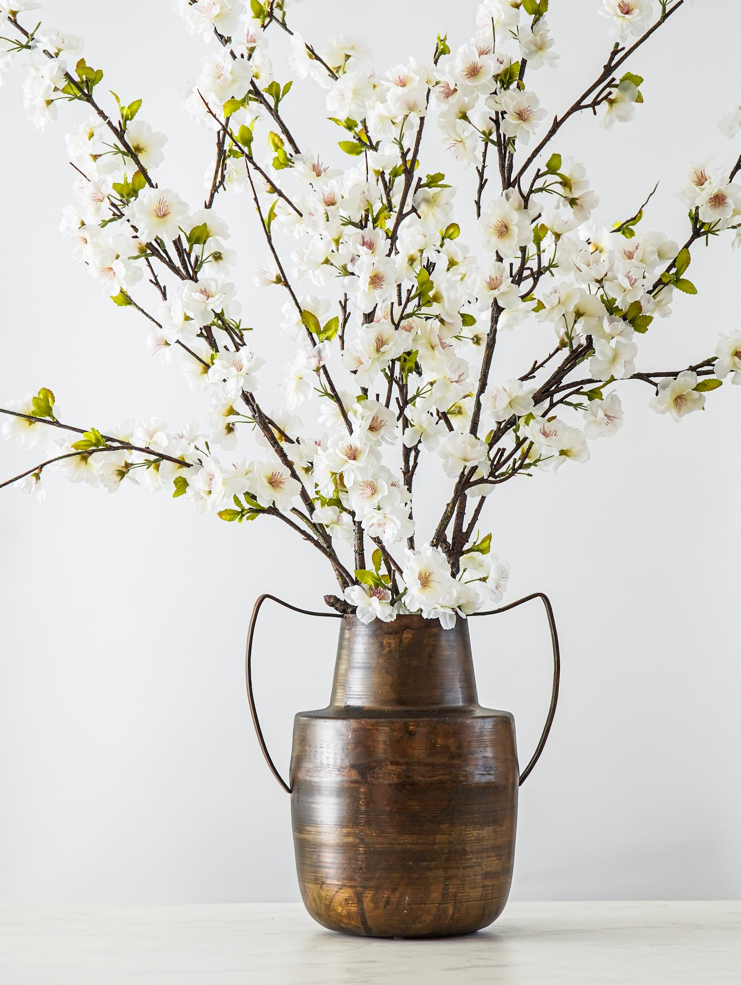 Handled Brass Metal Vase